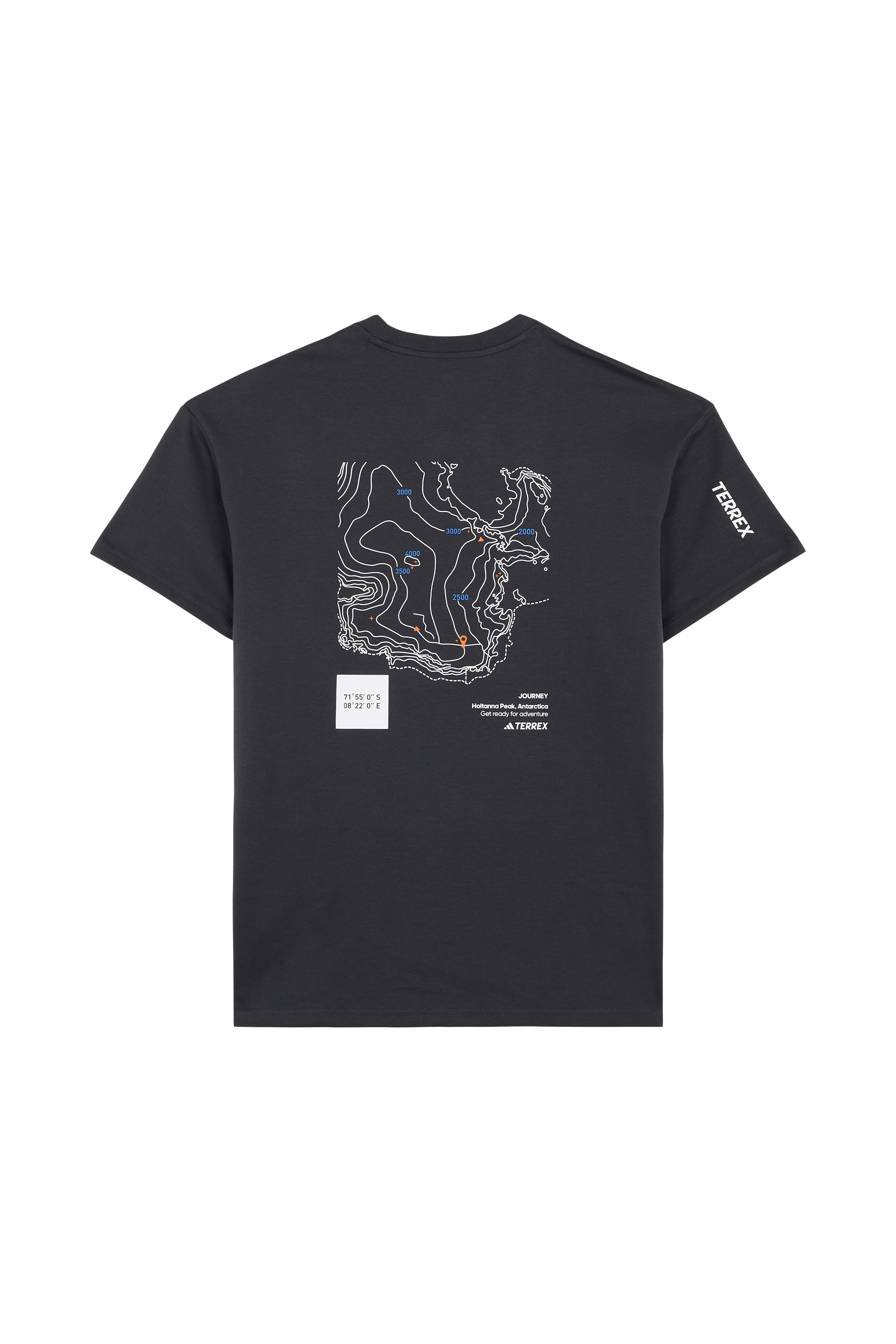 Regular-fit round-neck cotton T-shirt Grey