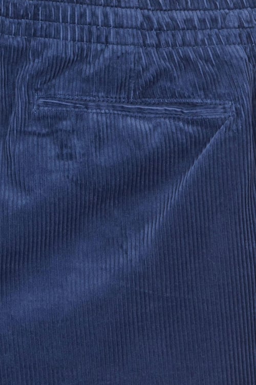 POLO RALPH LAUREN Short  Bleu