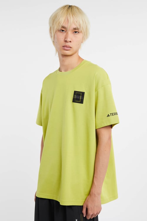 ADIDAS T-shirt Vert