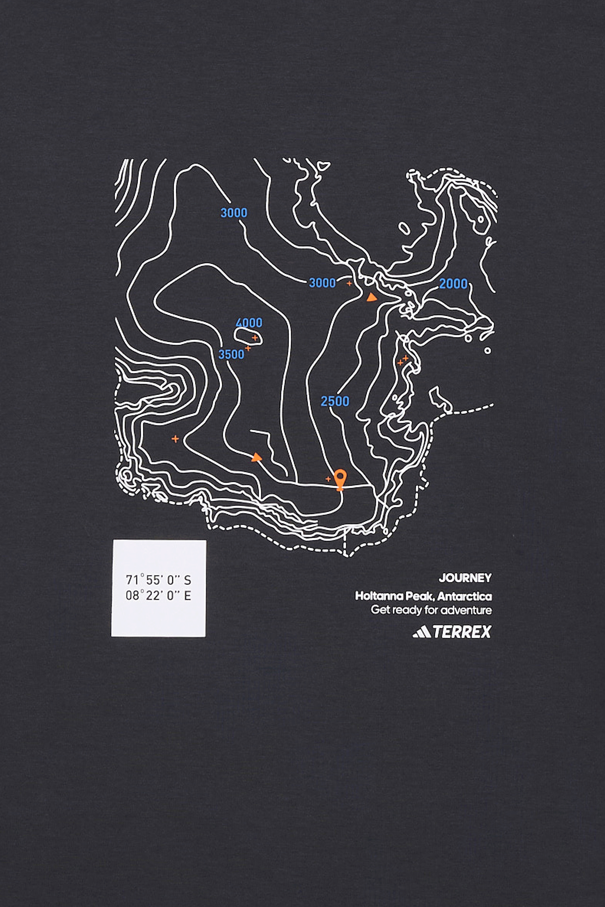 Regular-fit round-neck cotton T-shirt Grey