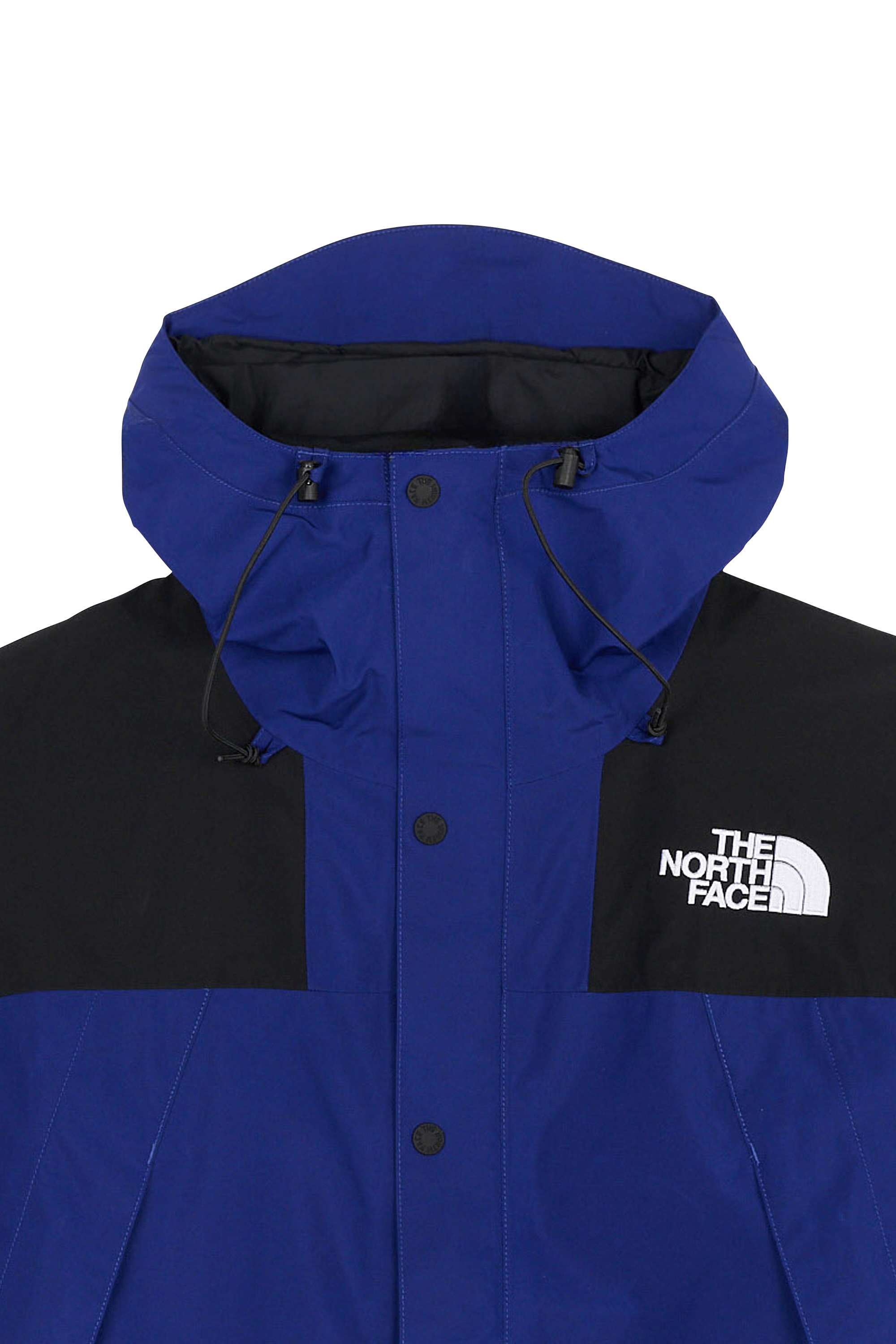 Parka | Bleu THE NORTH FACE Homme