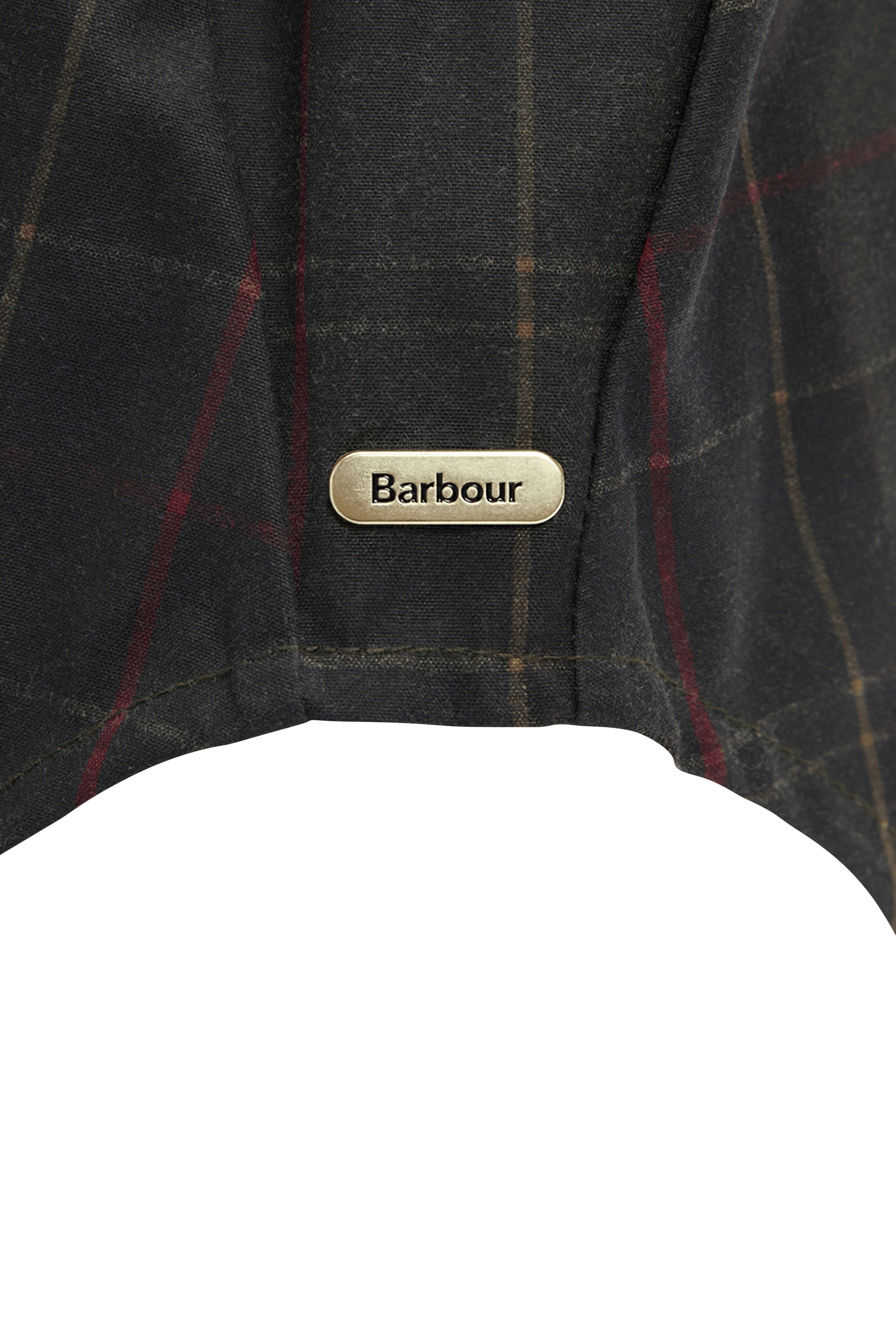 Hoodie | Green BARBOUR Women