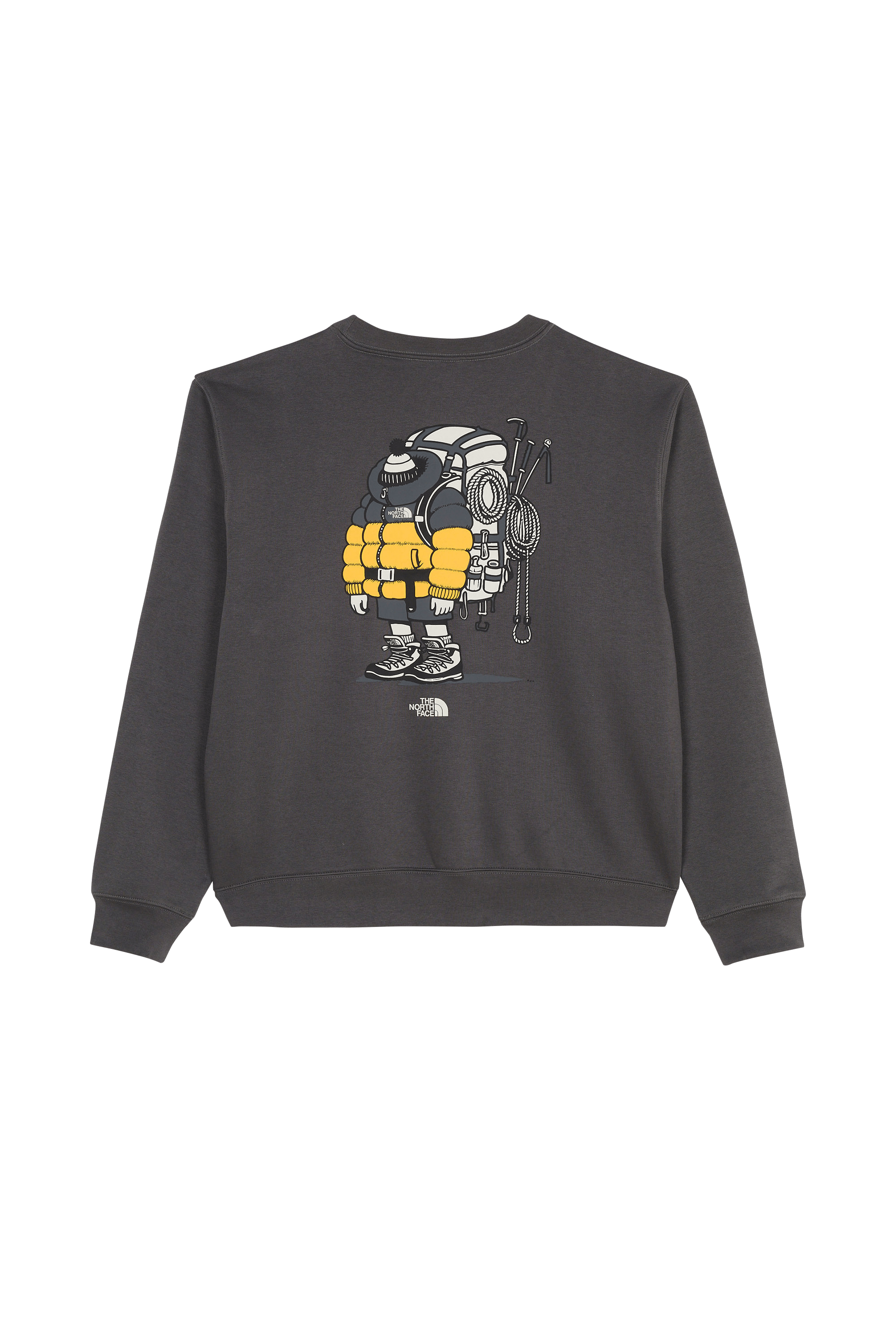 Sweat | Gris THE NORTH FACE Homme