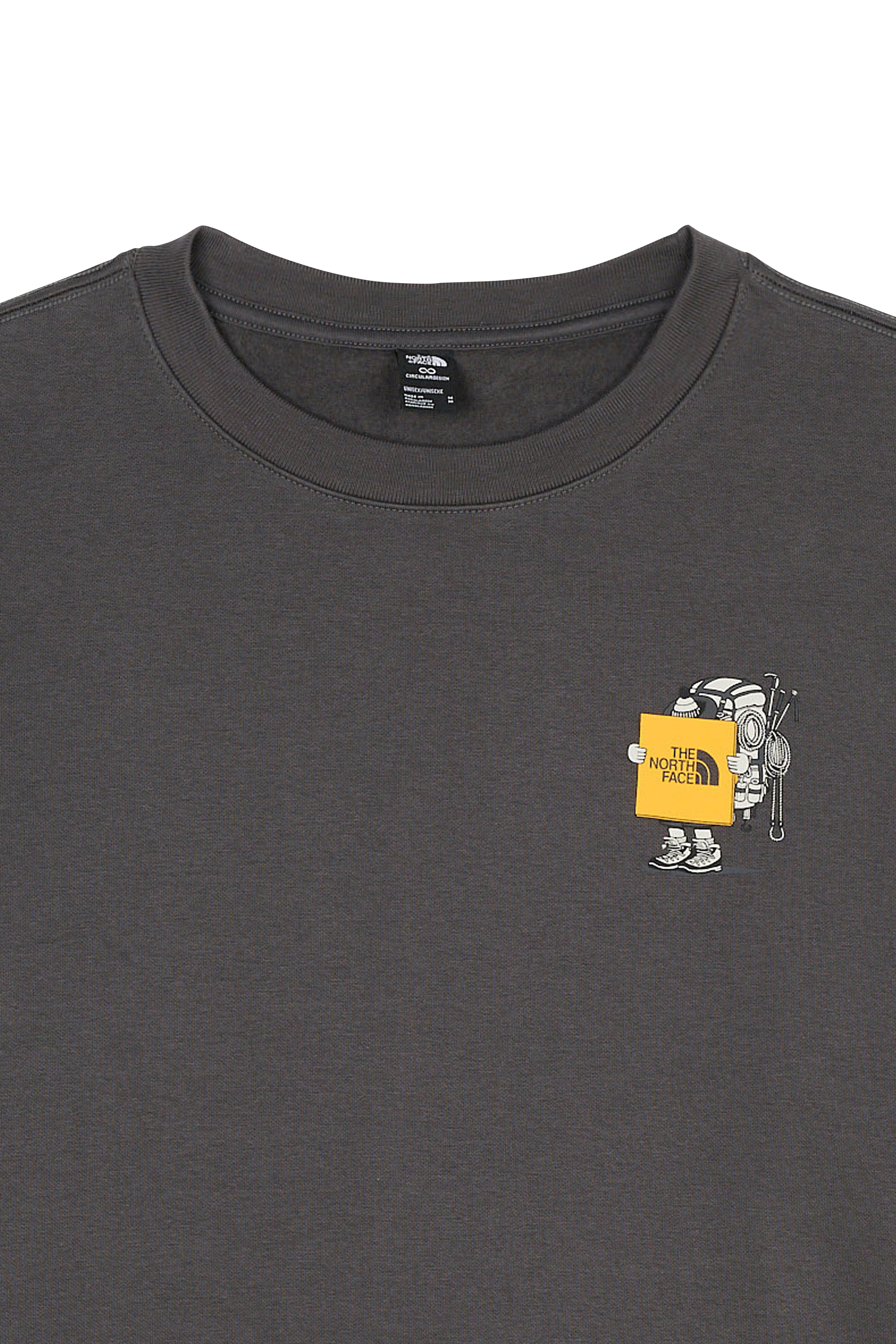 Sweat | Gris THE NORTH FACE Homme