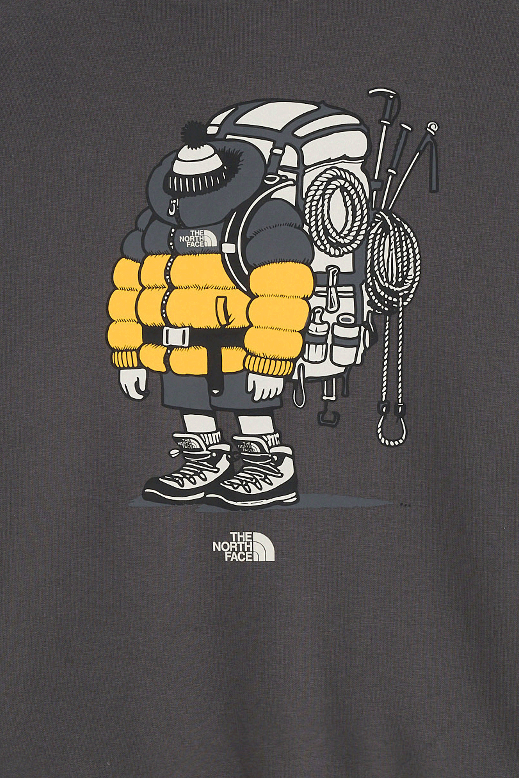 Sweat | Gris THE NORTH FACE Homme