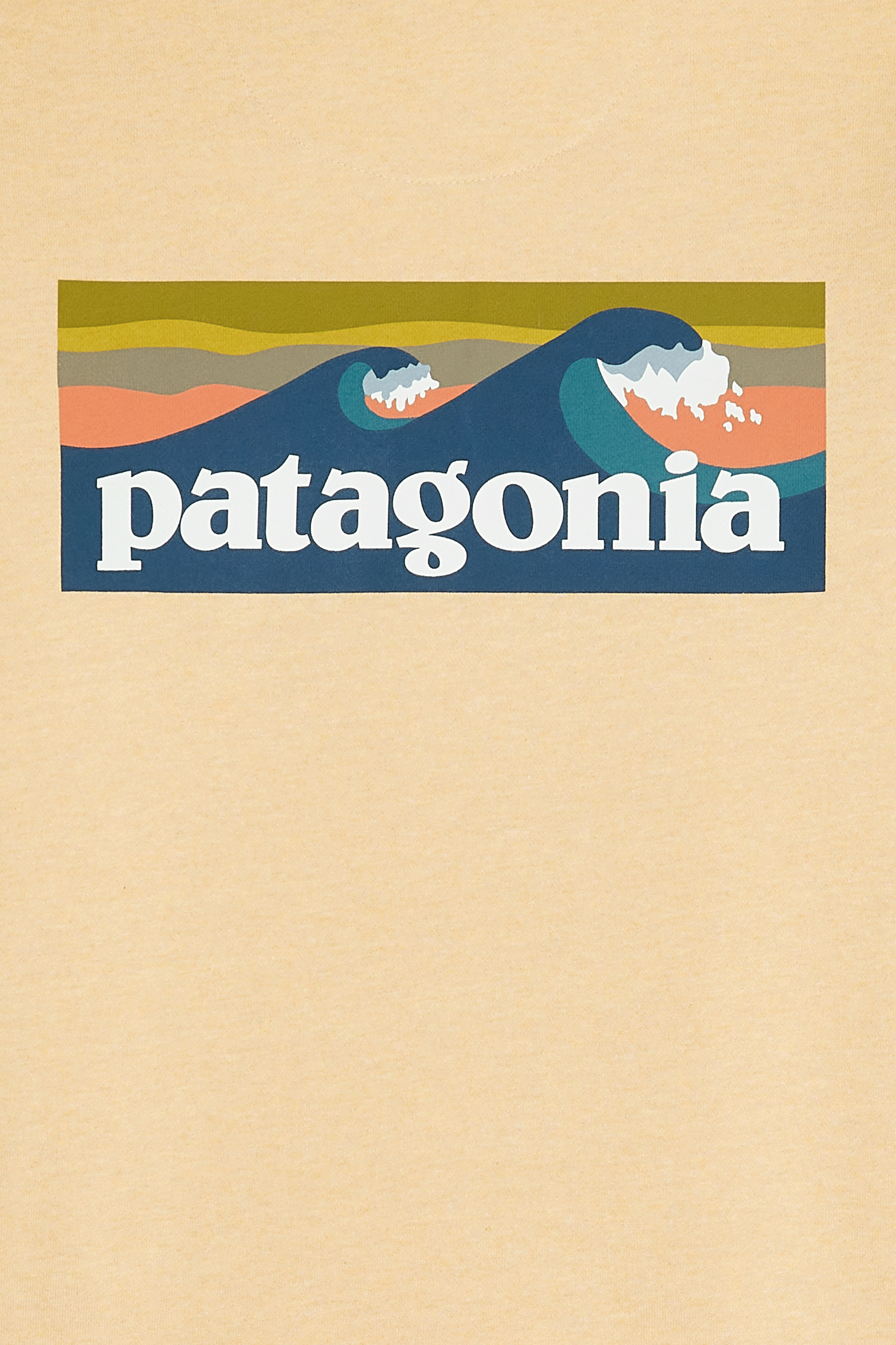 Hoodie | Beige PATAGONIA Homme