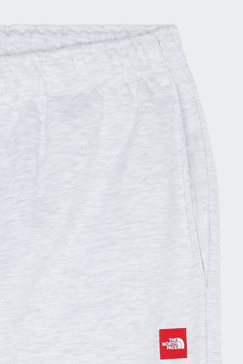 THE NORTH FACE Pantalon de survêtement Gris