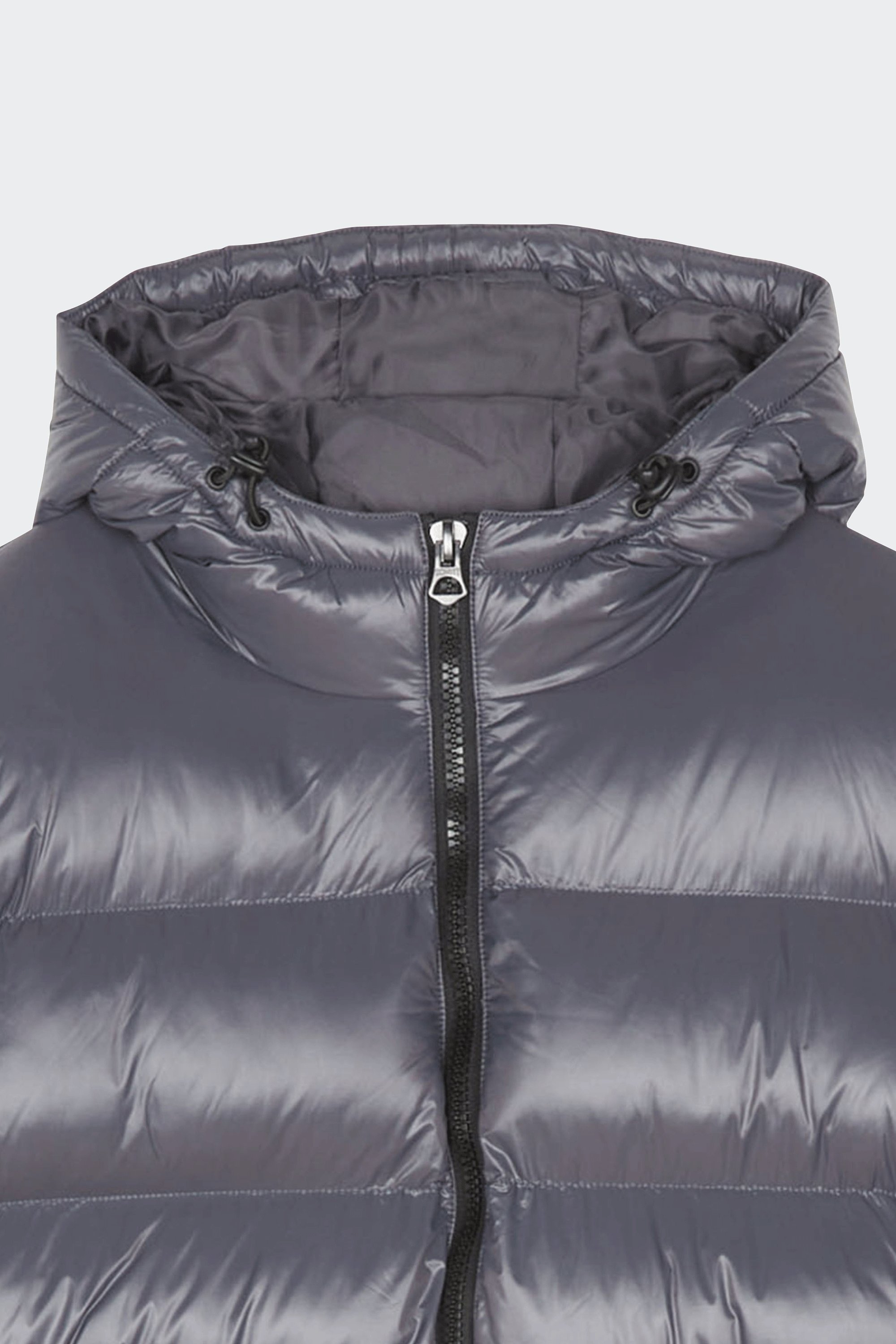 puffer coat | Silver by SCHOTT puffer coat Silver