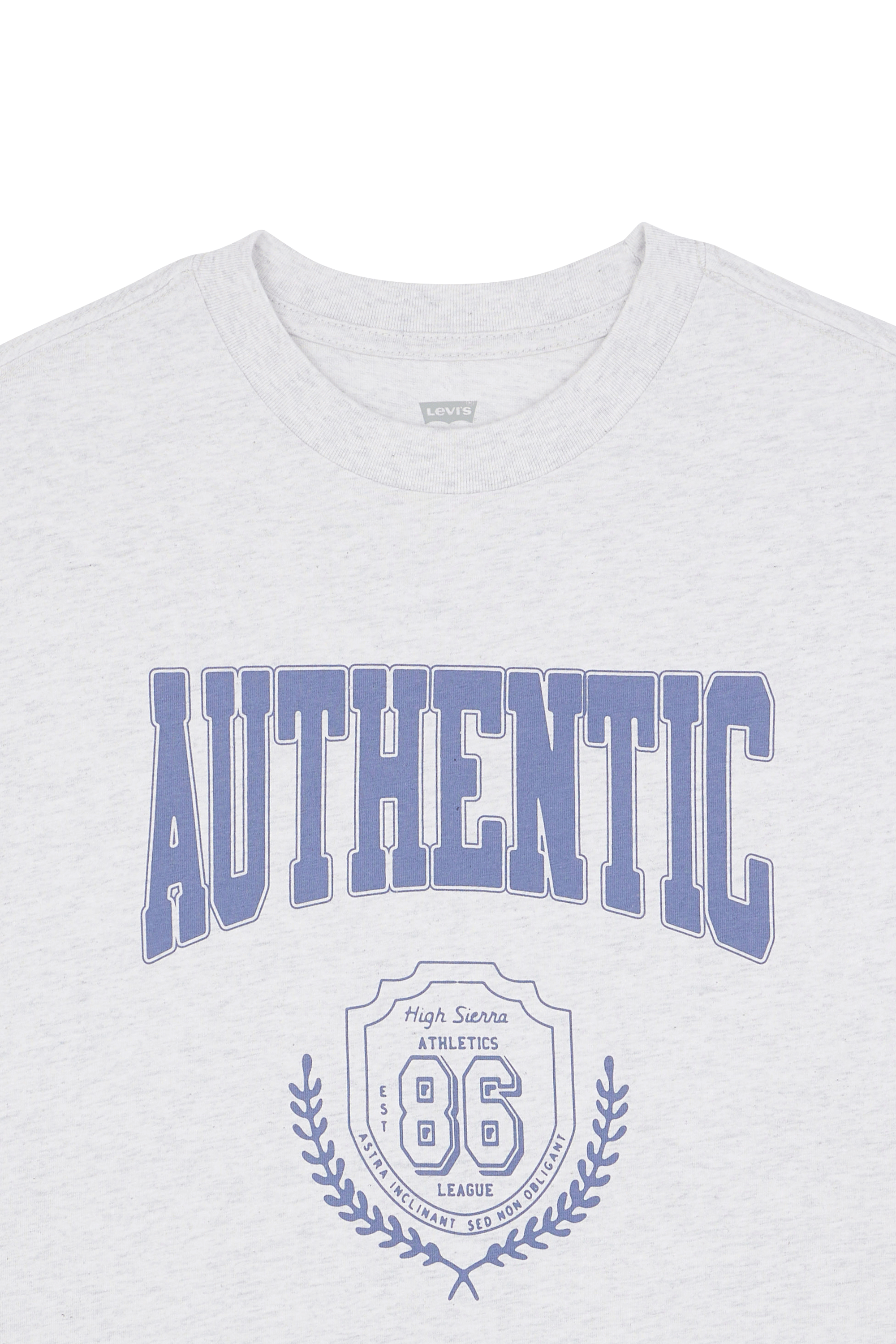 T-shirt Gris