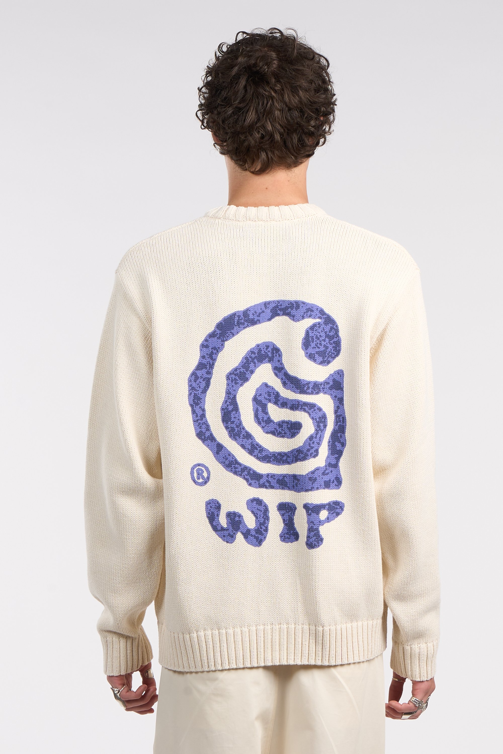 Sweater | Beige CARHARTT WIP Men