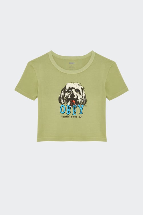 OBEY T-shirt Vert