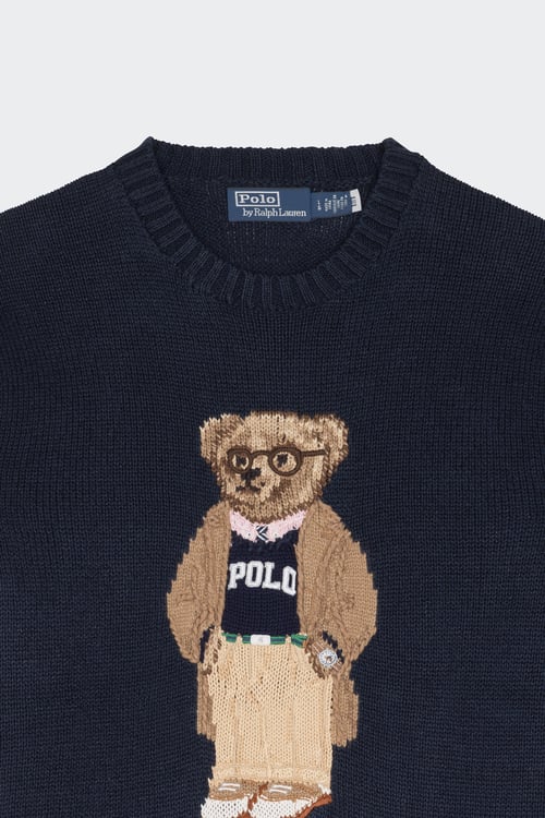 POLO RALPH LAUREN Sweater Blue