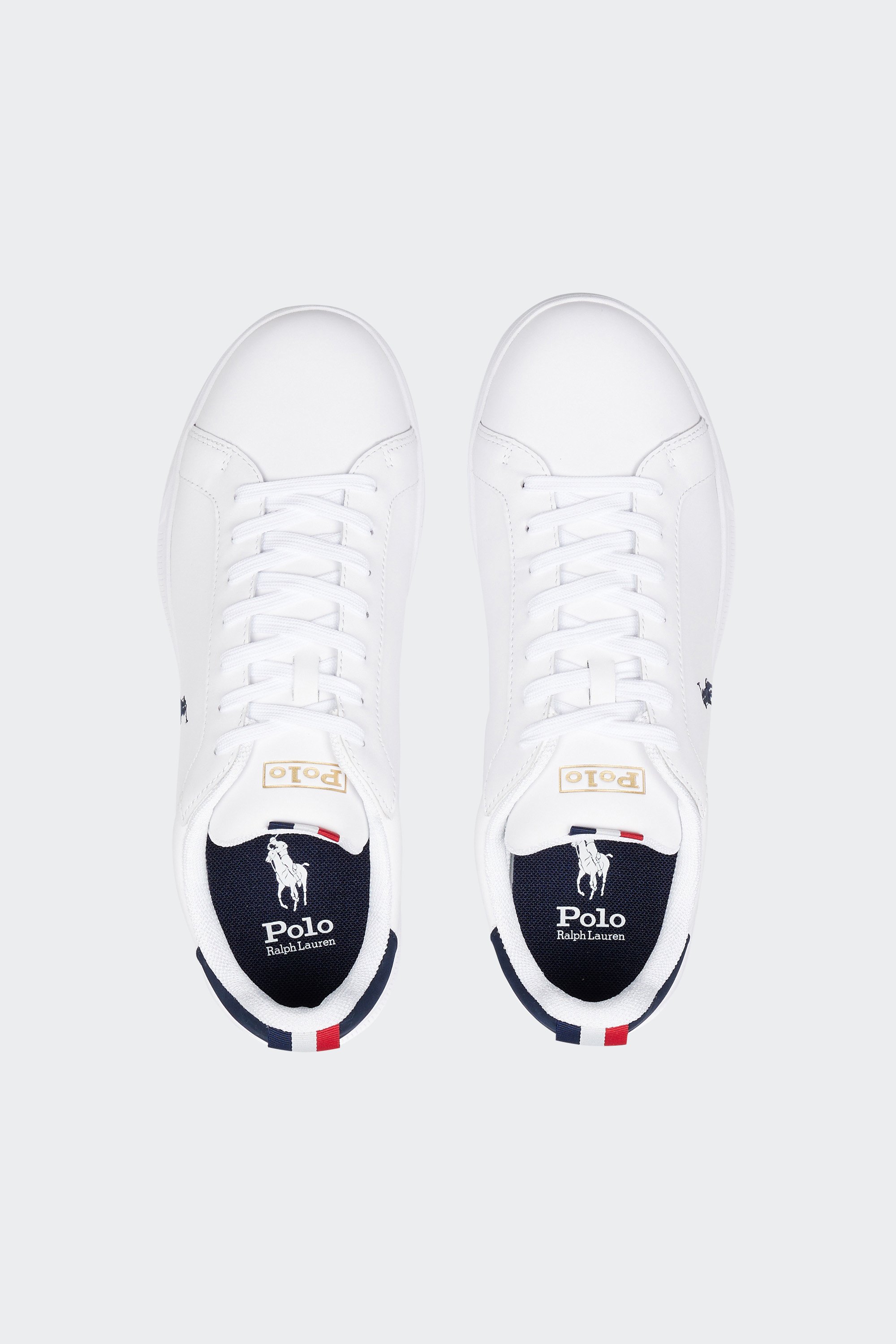 Sneakers | White by POLO RALPH LAUREN Sneakers White
