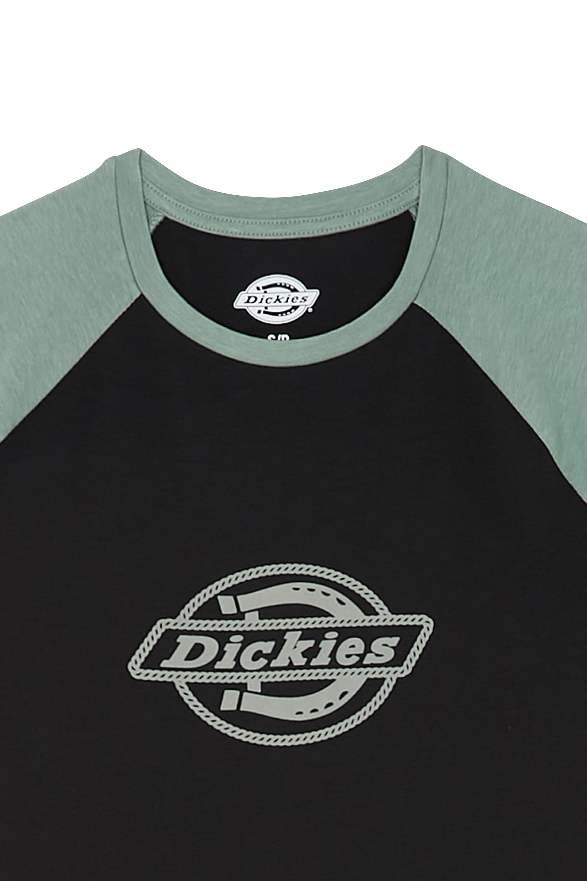 DICKIES T-shirt Vert