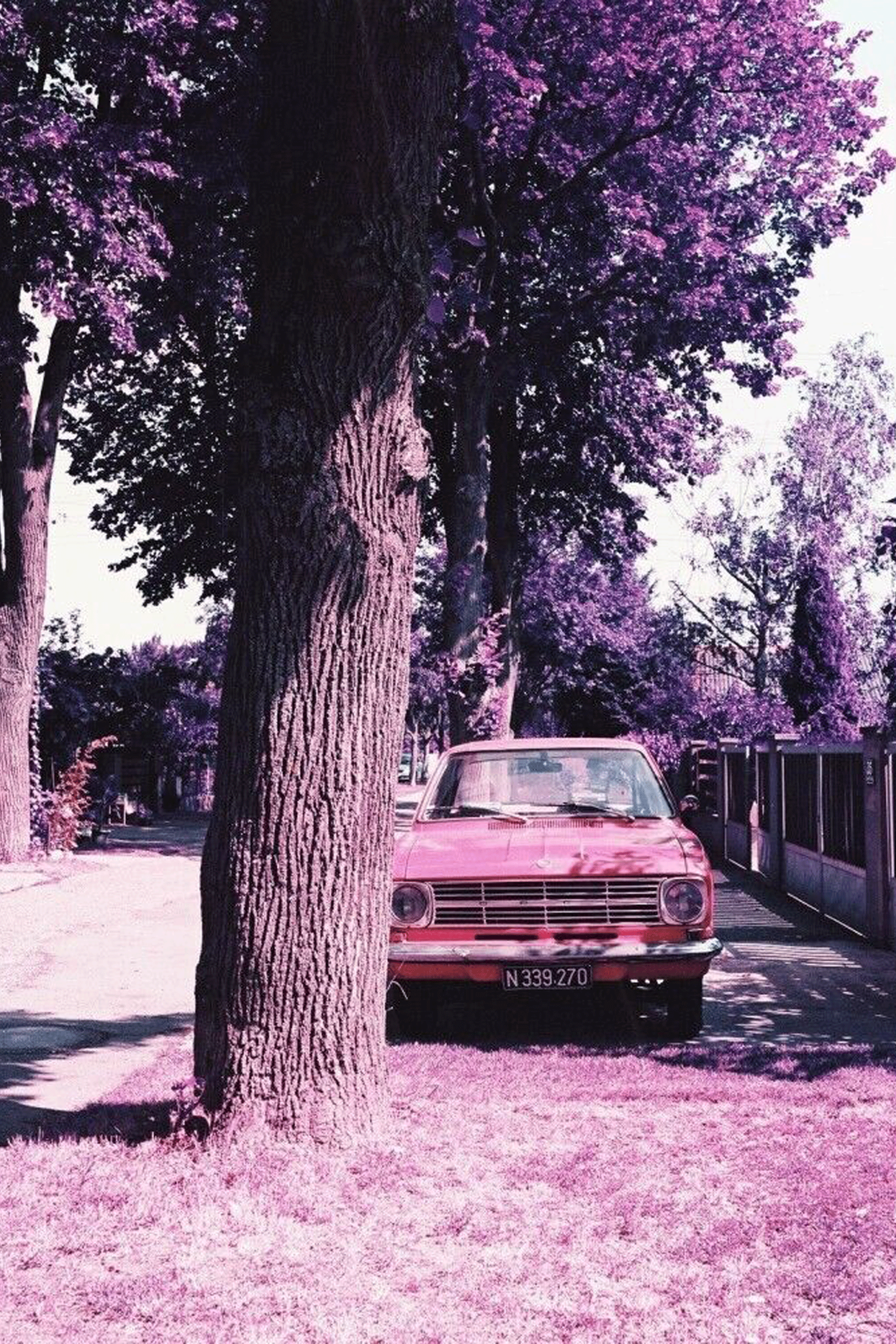 negative films Multicolored