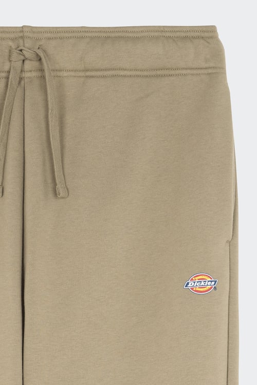 DICKIES Jogging Vert