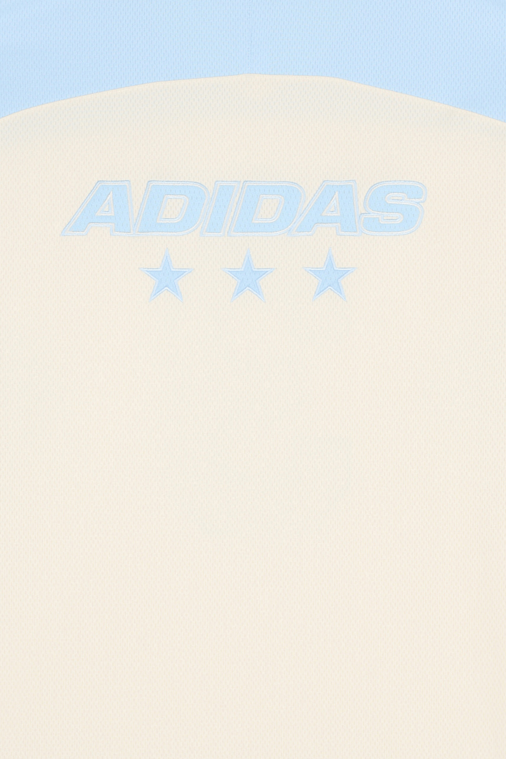 Regular-fit round-neck cotton T-shirt Blue