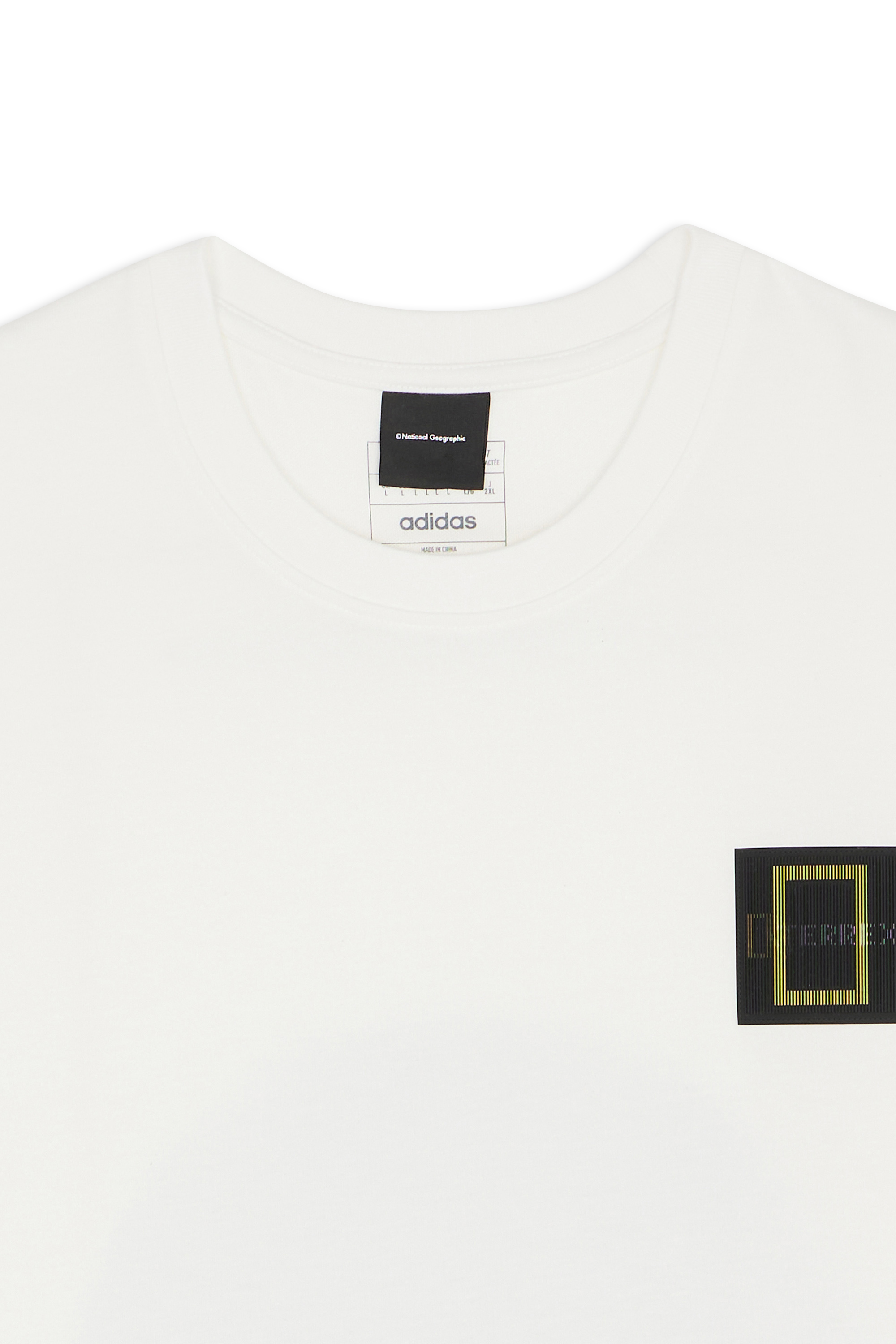 Regular-fit round-neck cotton T-shirt White