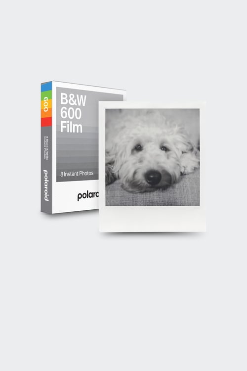 POLAROID Pellicule Noir