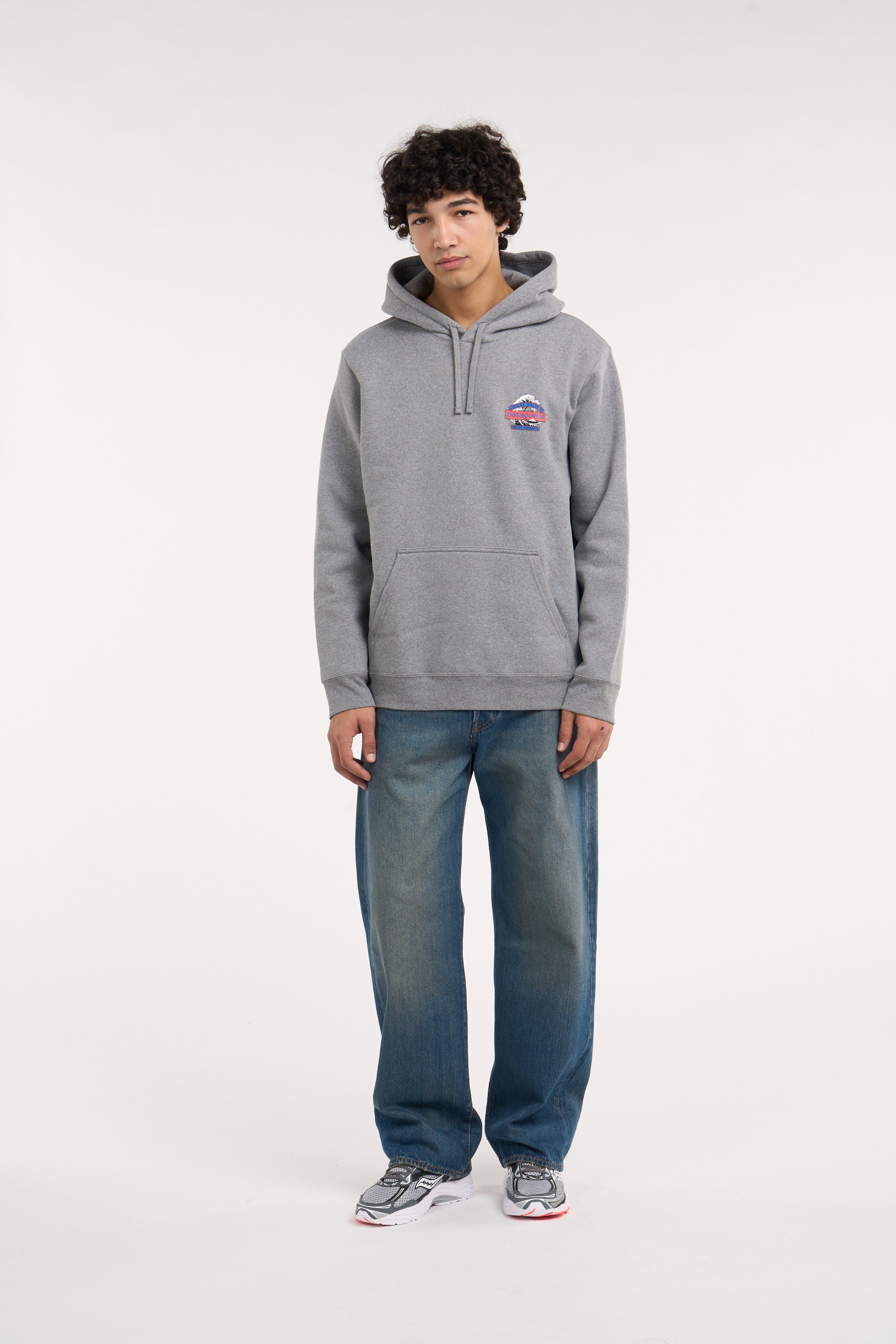 Hoodie PATAGONIA Grey