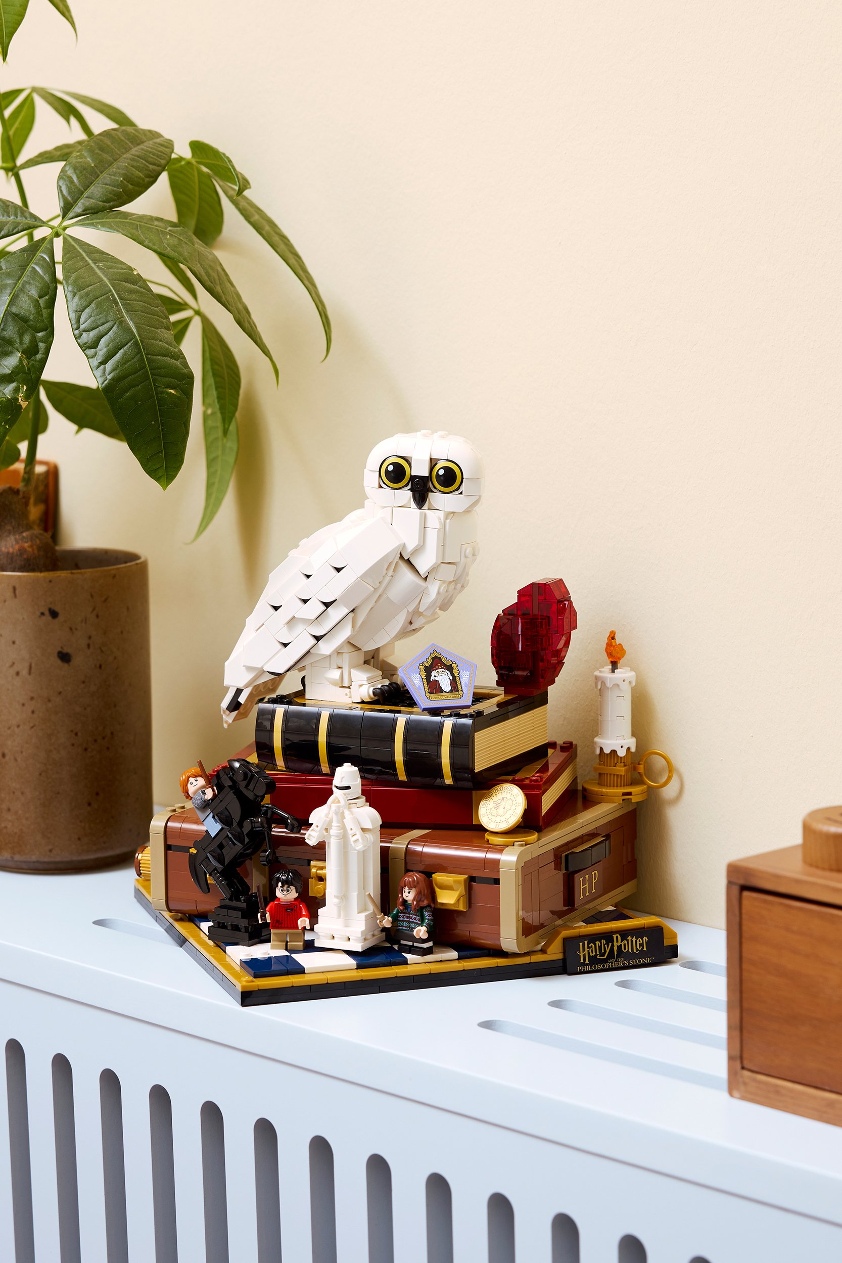 Jeu | Multicolore LEGO Homme