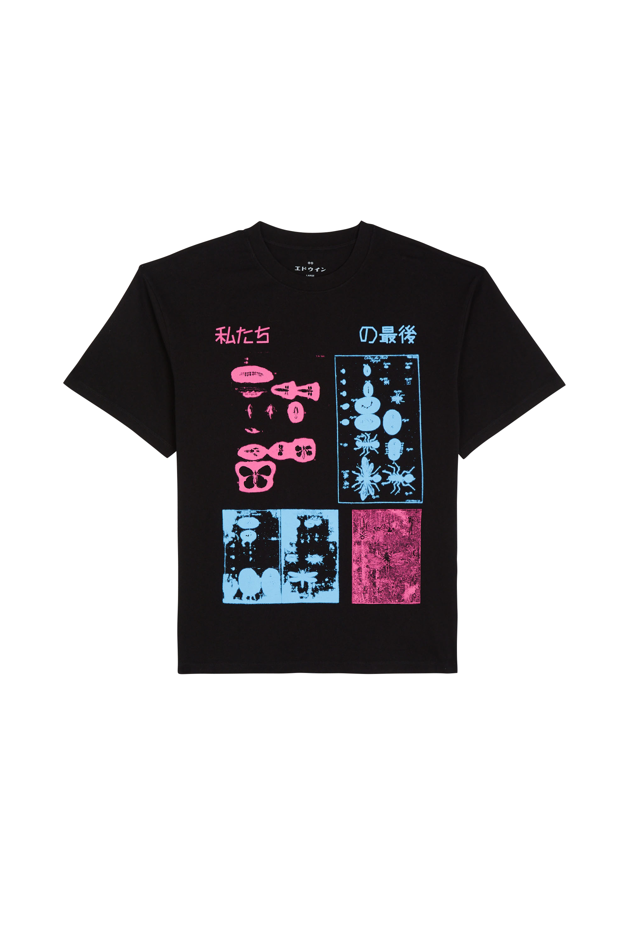 Regular-fit round-neck cotton T-shirt Black