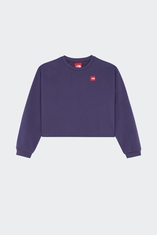 THE NORTH FACE Sweatshirt Bleu