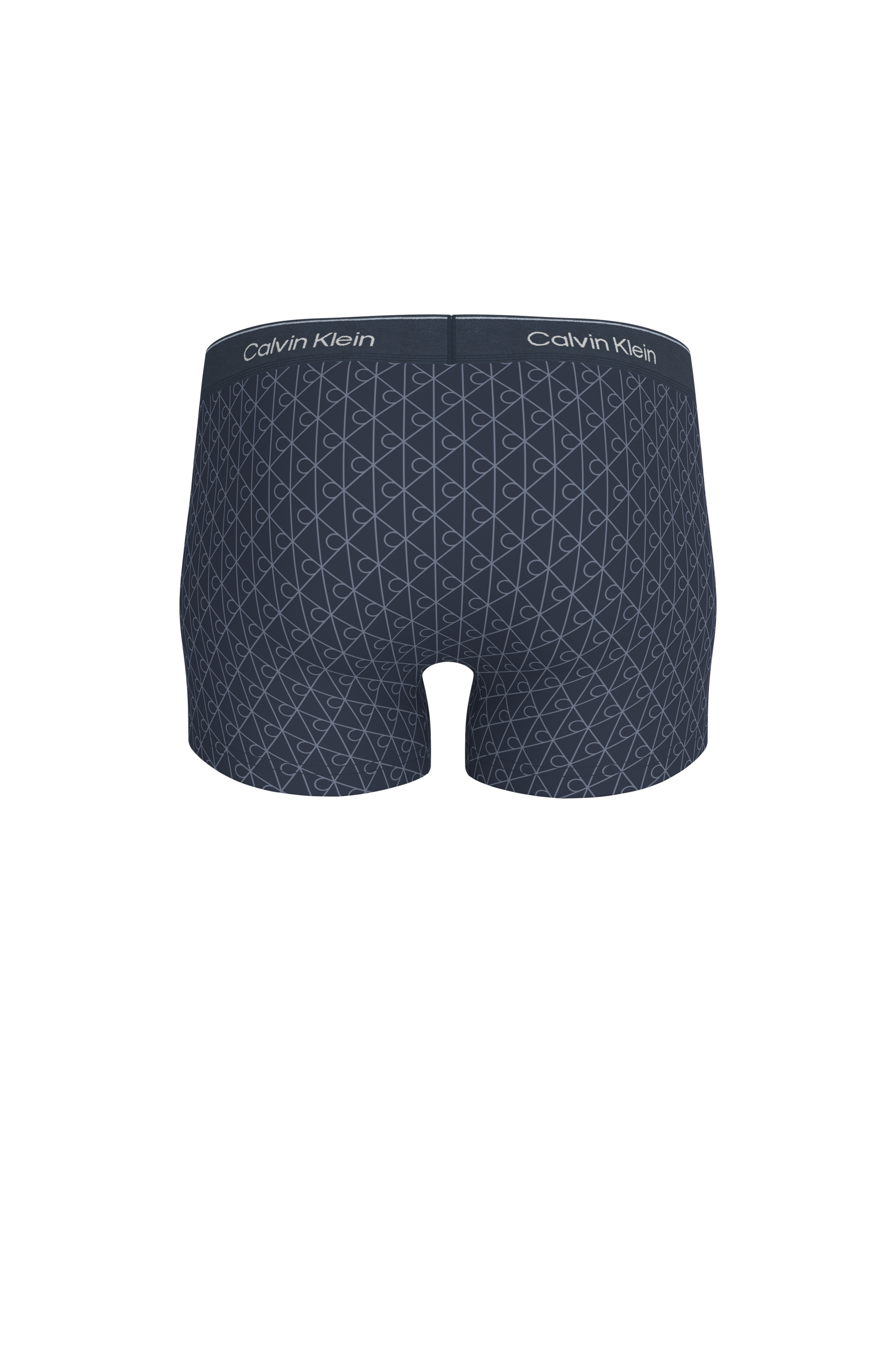 Boxer | Multicolore CALVIN KLEIN Homme