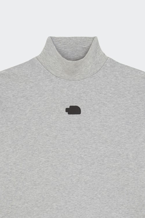 THE NORTH FACE sweatshirt Grey