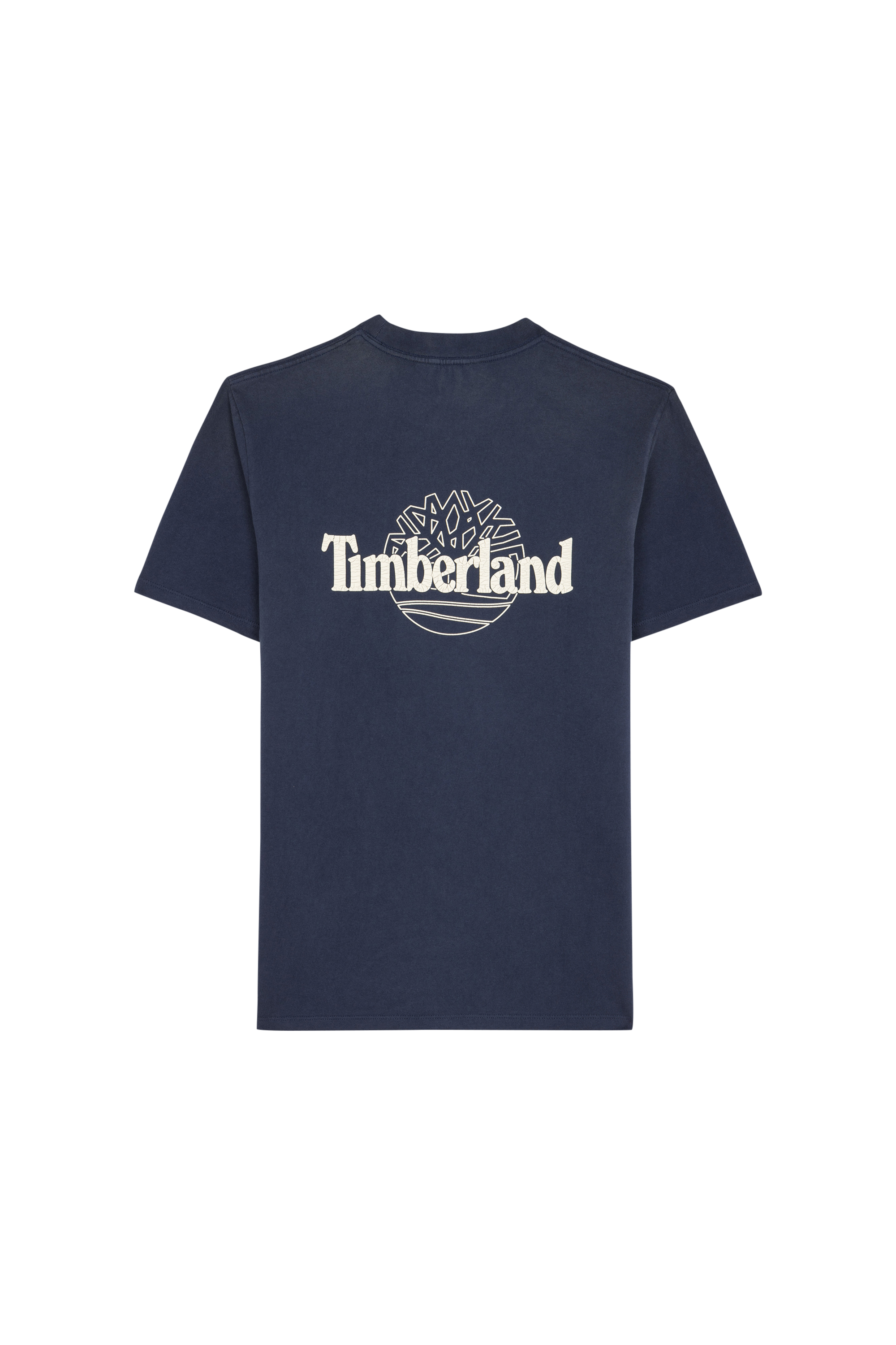 T-shirt TIMBERLAND Bleu