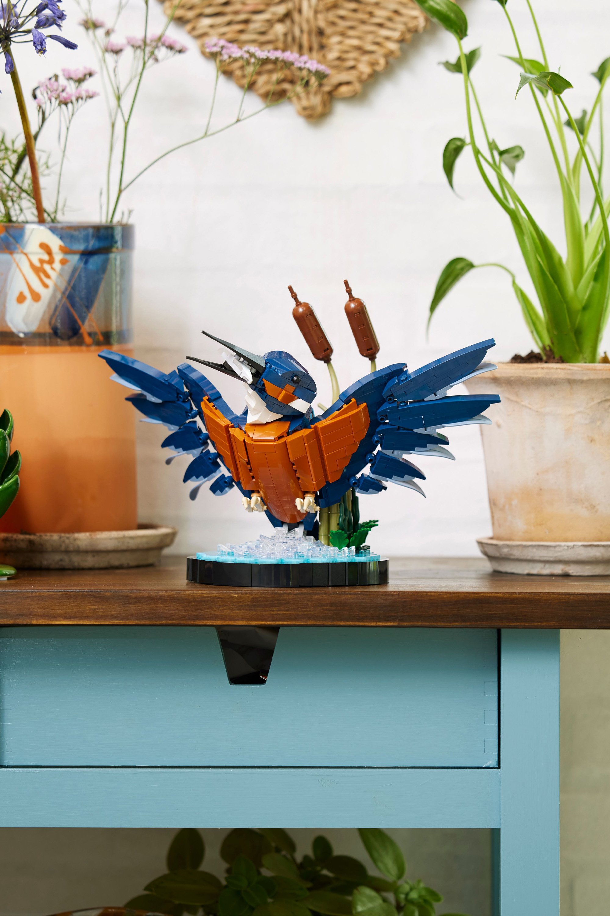 Le martin-pêcheur Multicolore