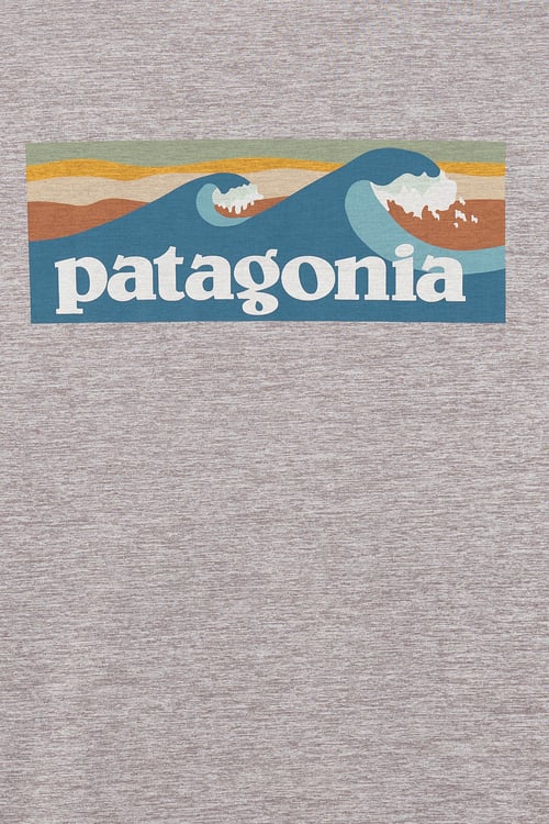 PATAGONIA t-shirt Gris