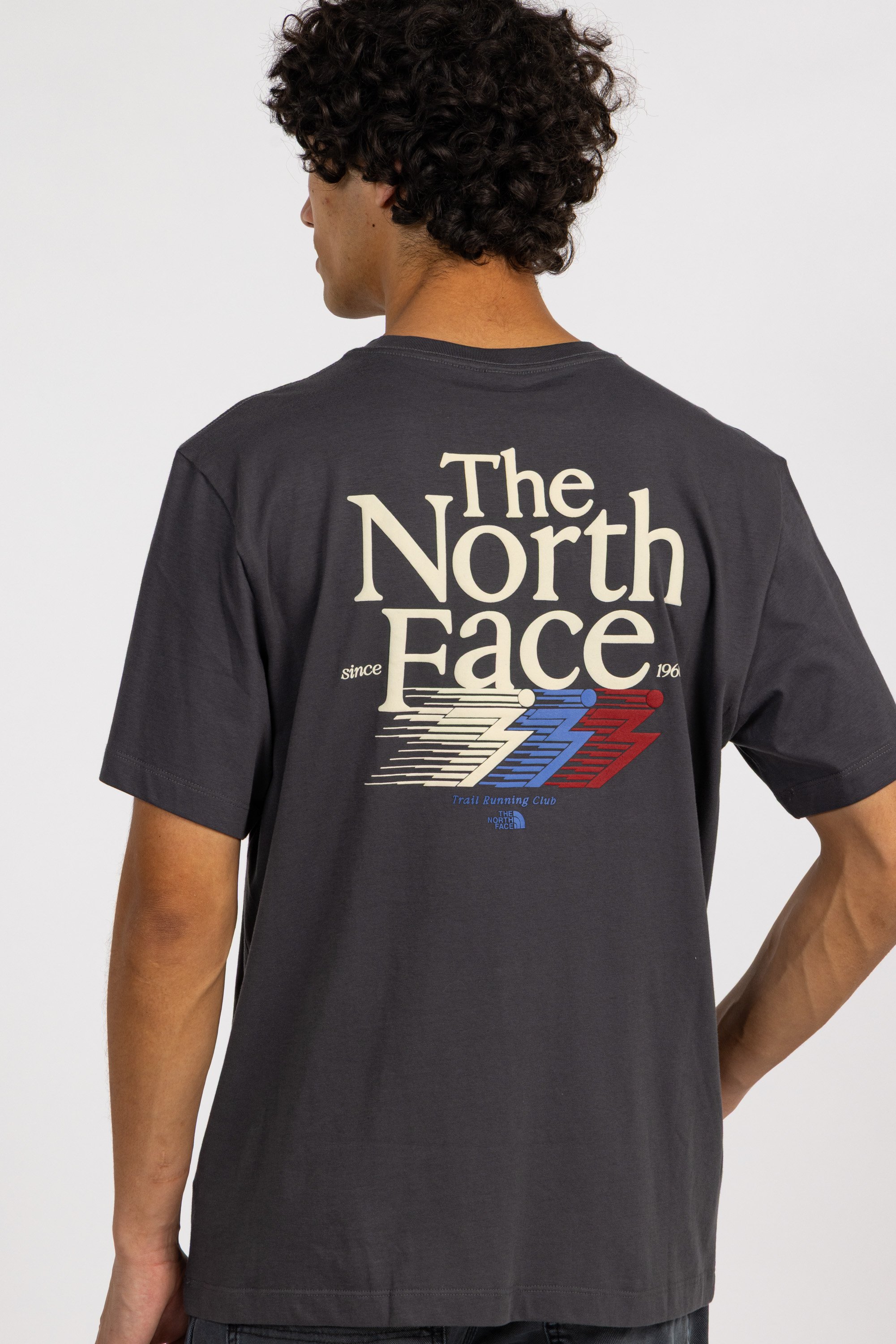 T-shirt | Gris THE NORTH FACE Homme