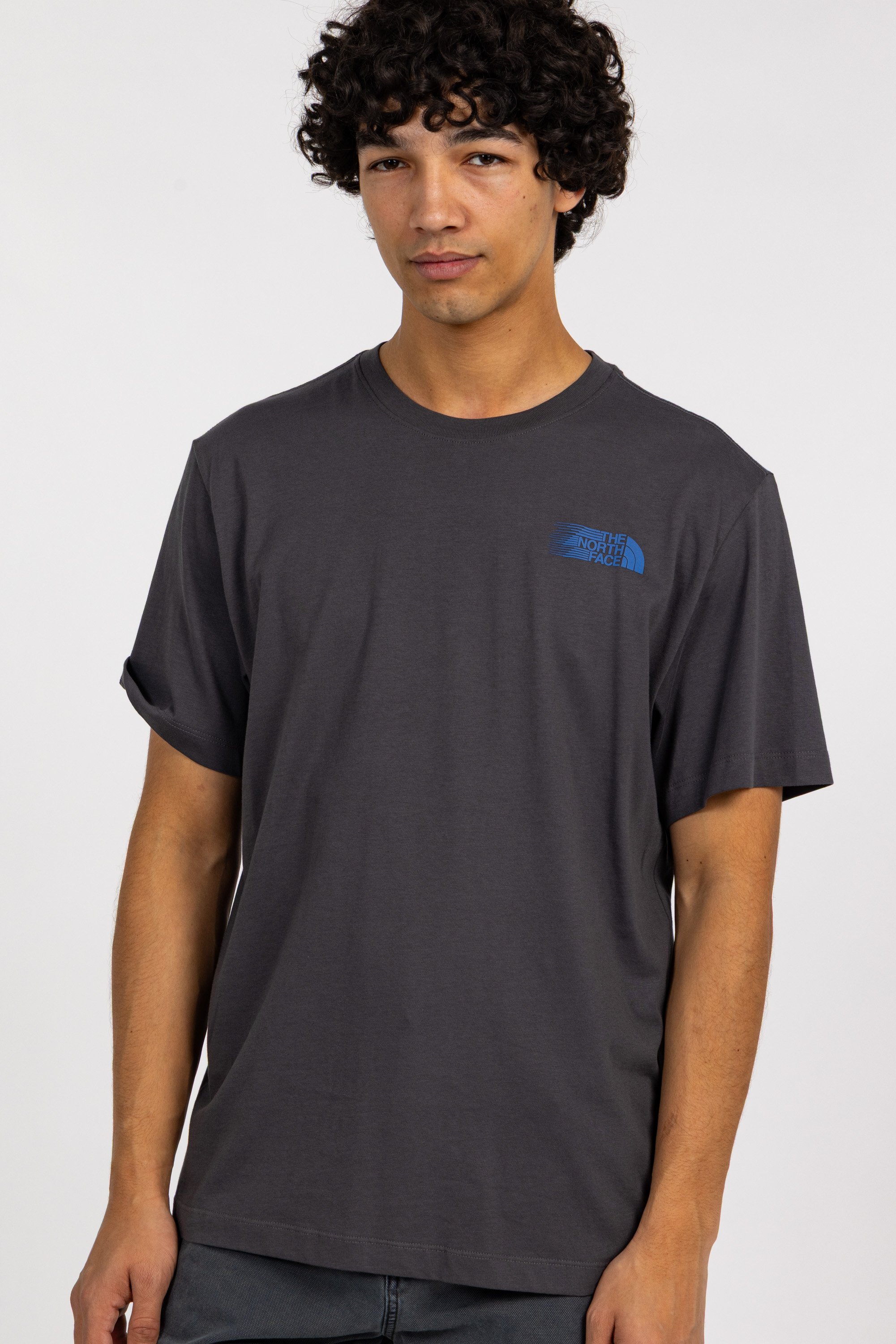 T-shirt | Gris THE NORTH FACE Homme