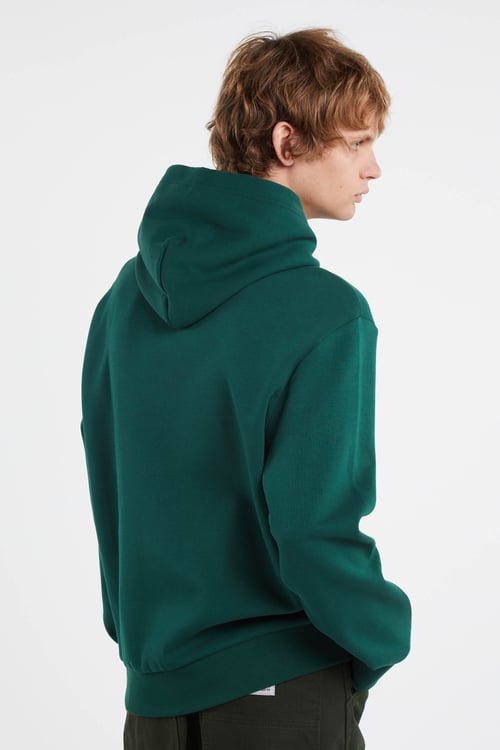 POLO RALPH LAUREN Hoodie Vert