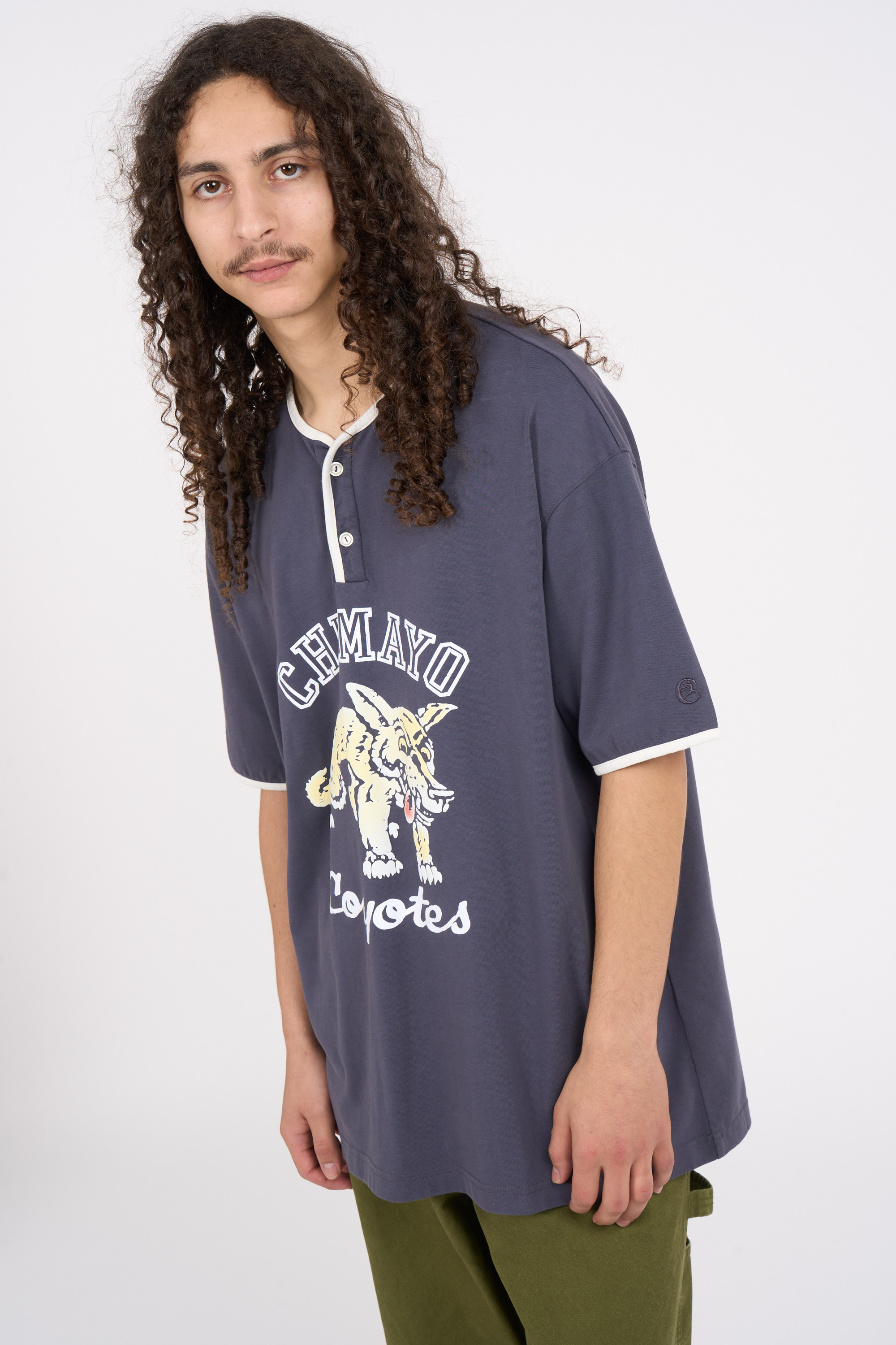 Regular-fit round-neck cotton T-shirt Grey