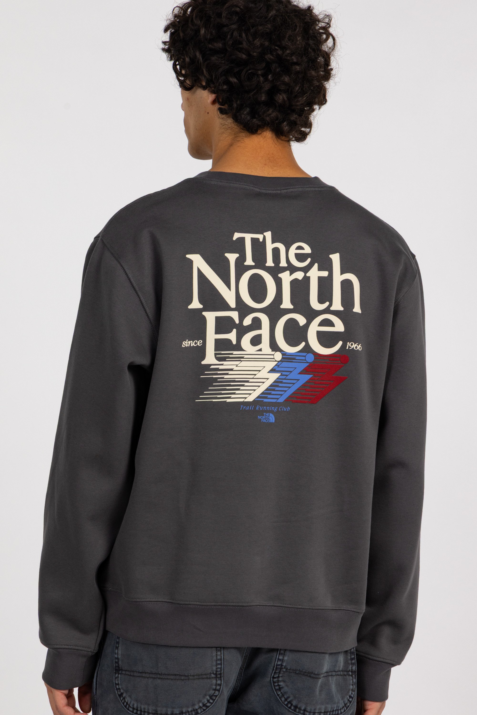 Pull | Gris THE NORTH FACE Homme