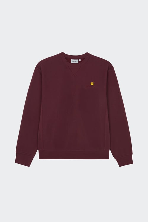 CARHARTT WIP Sweatshirt Violet