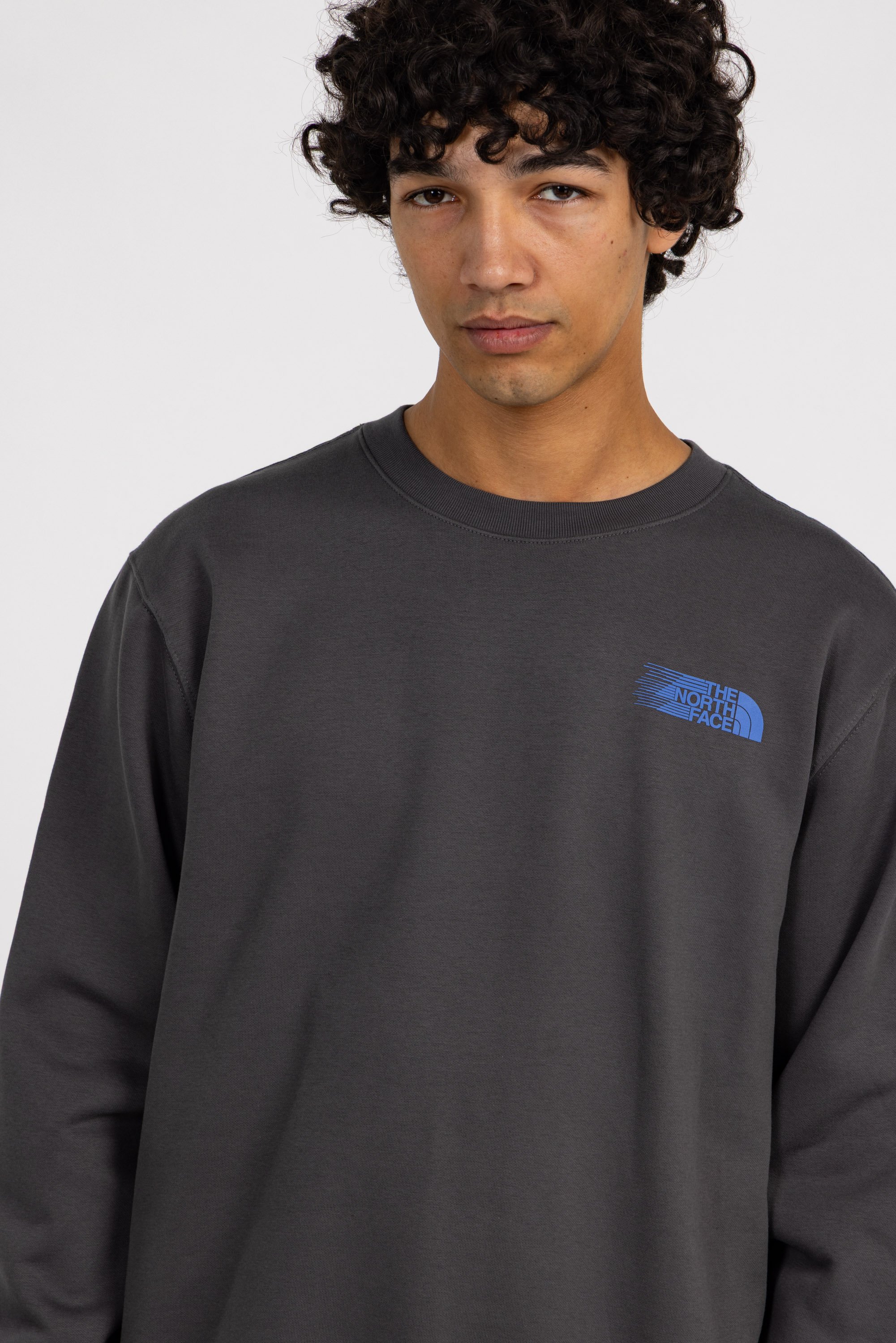 Pull | Gris THE NORTH FACE Homme