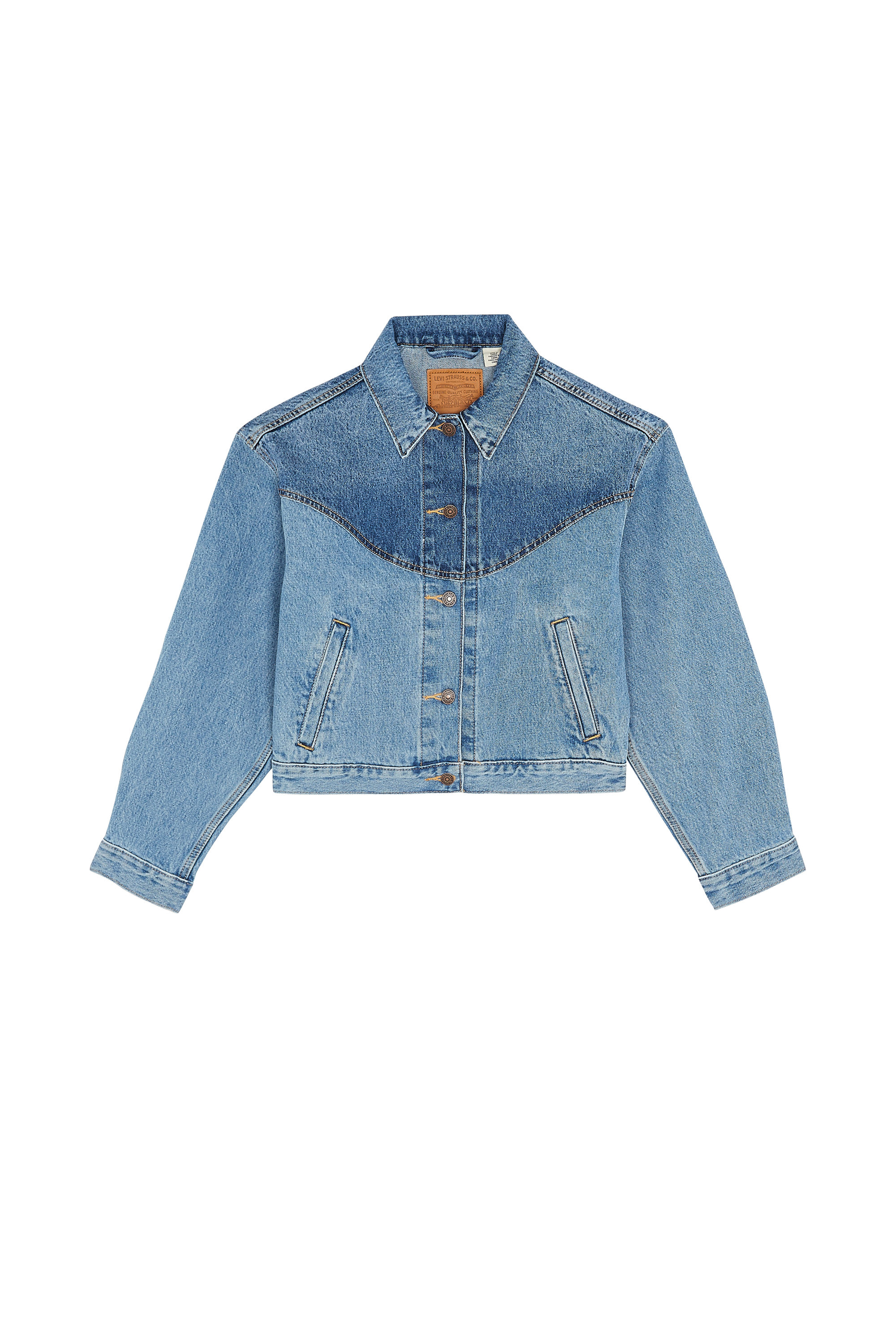 Veste Bleu