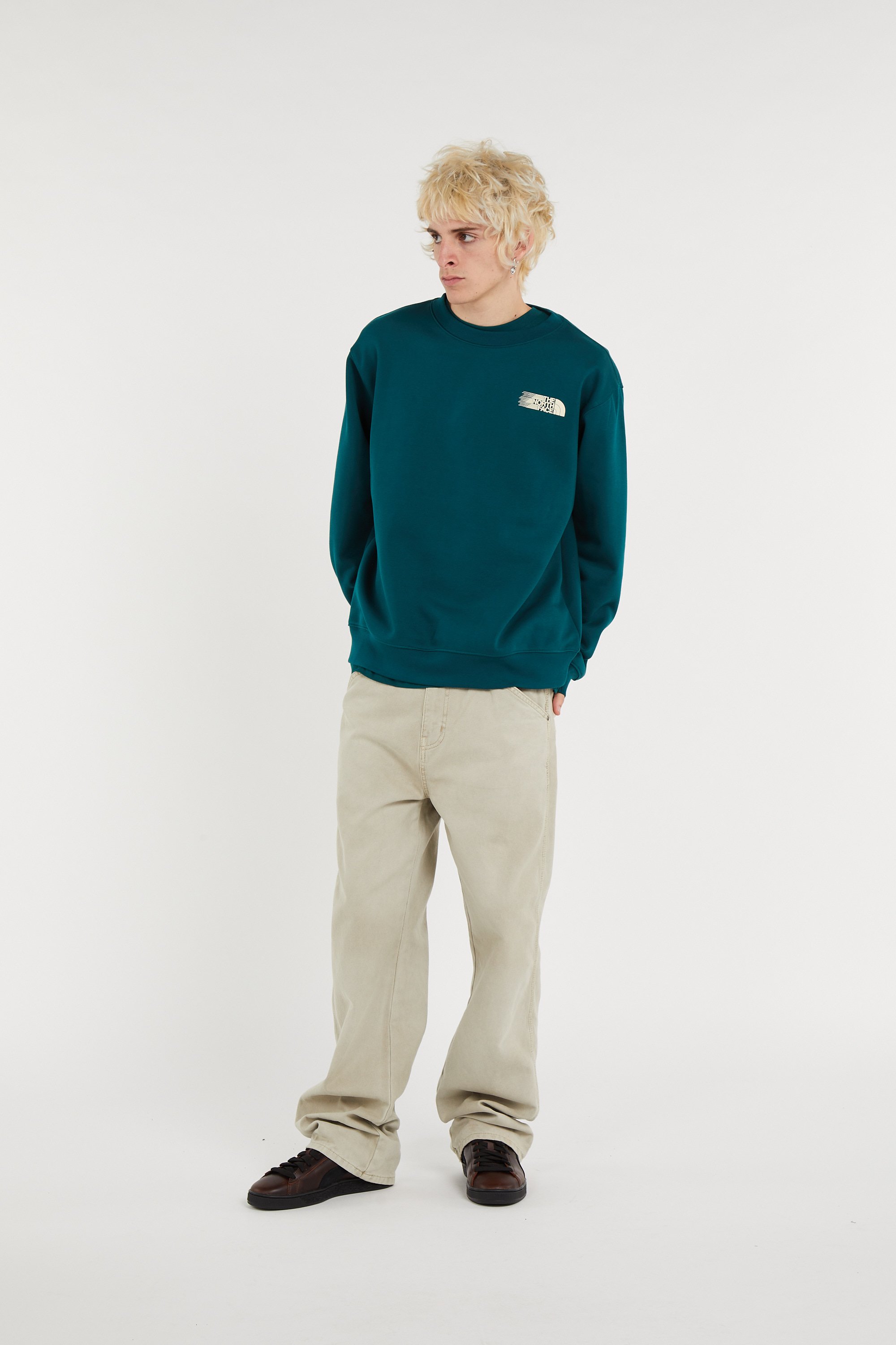 Pull THE NORTH FACE Vert