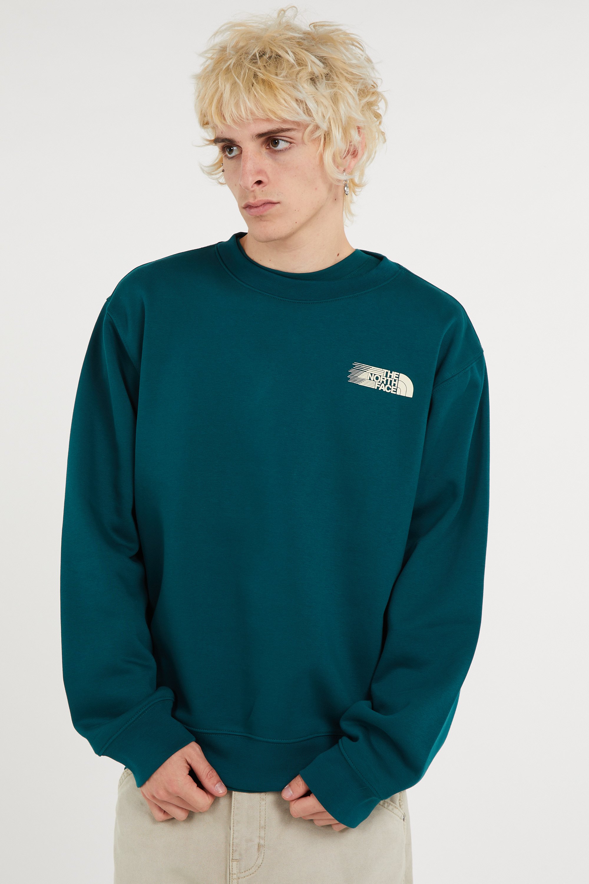 Pull | Vert THE NORTH FACE Homme