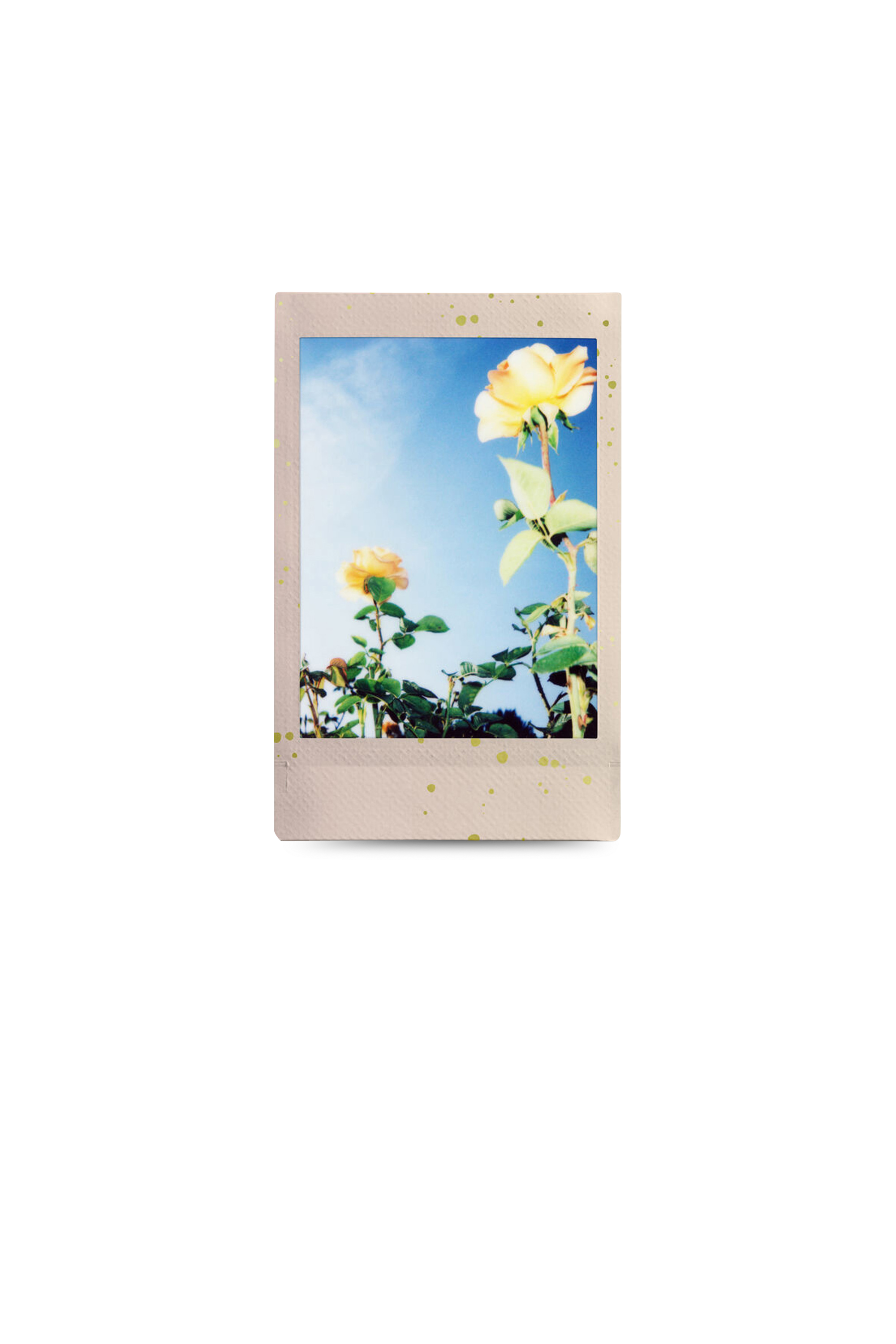 Film | Multicolor FUJIFILM Women