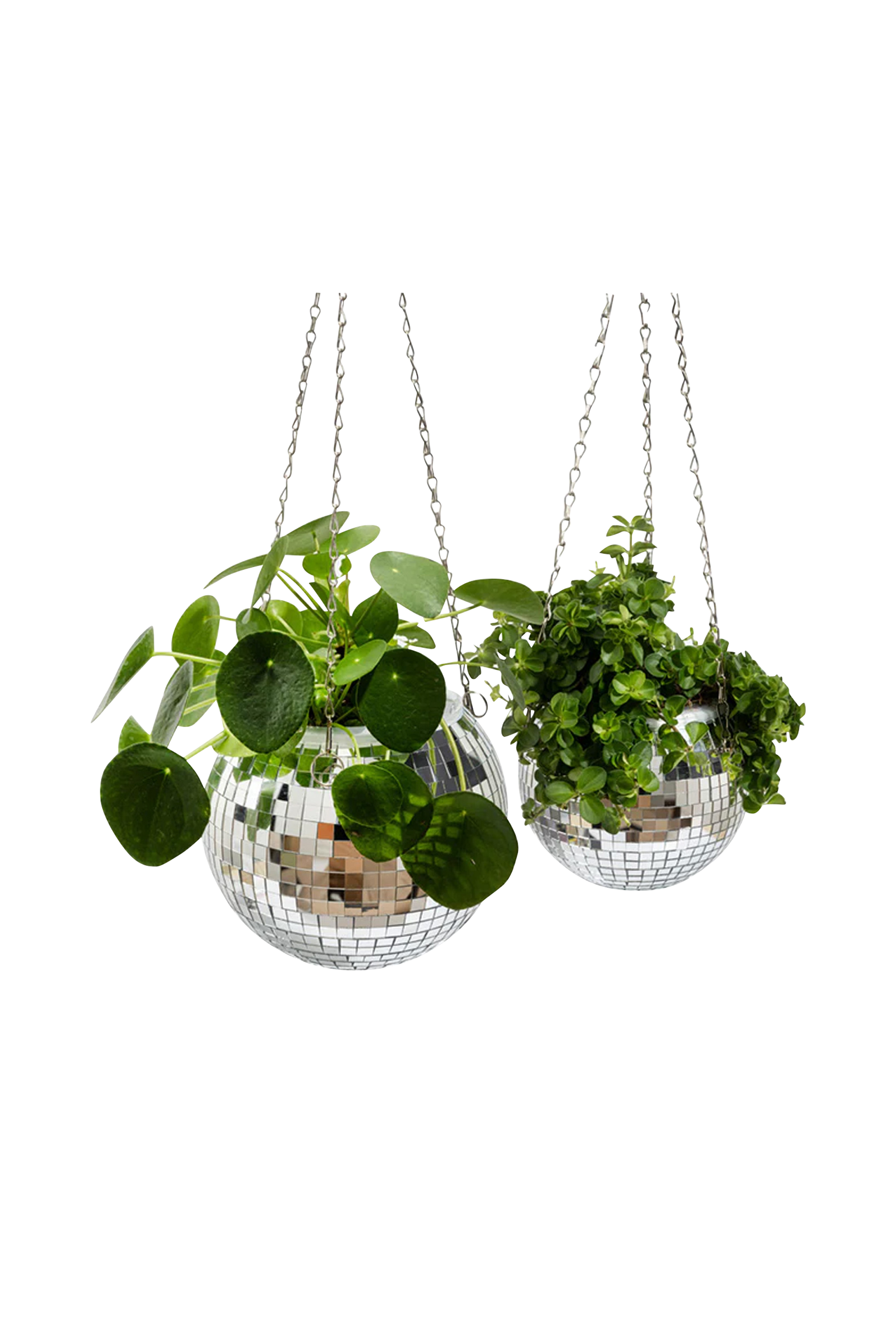 Cache-pot Multicolore