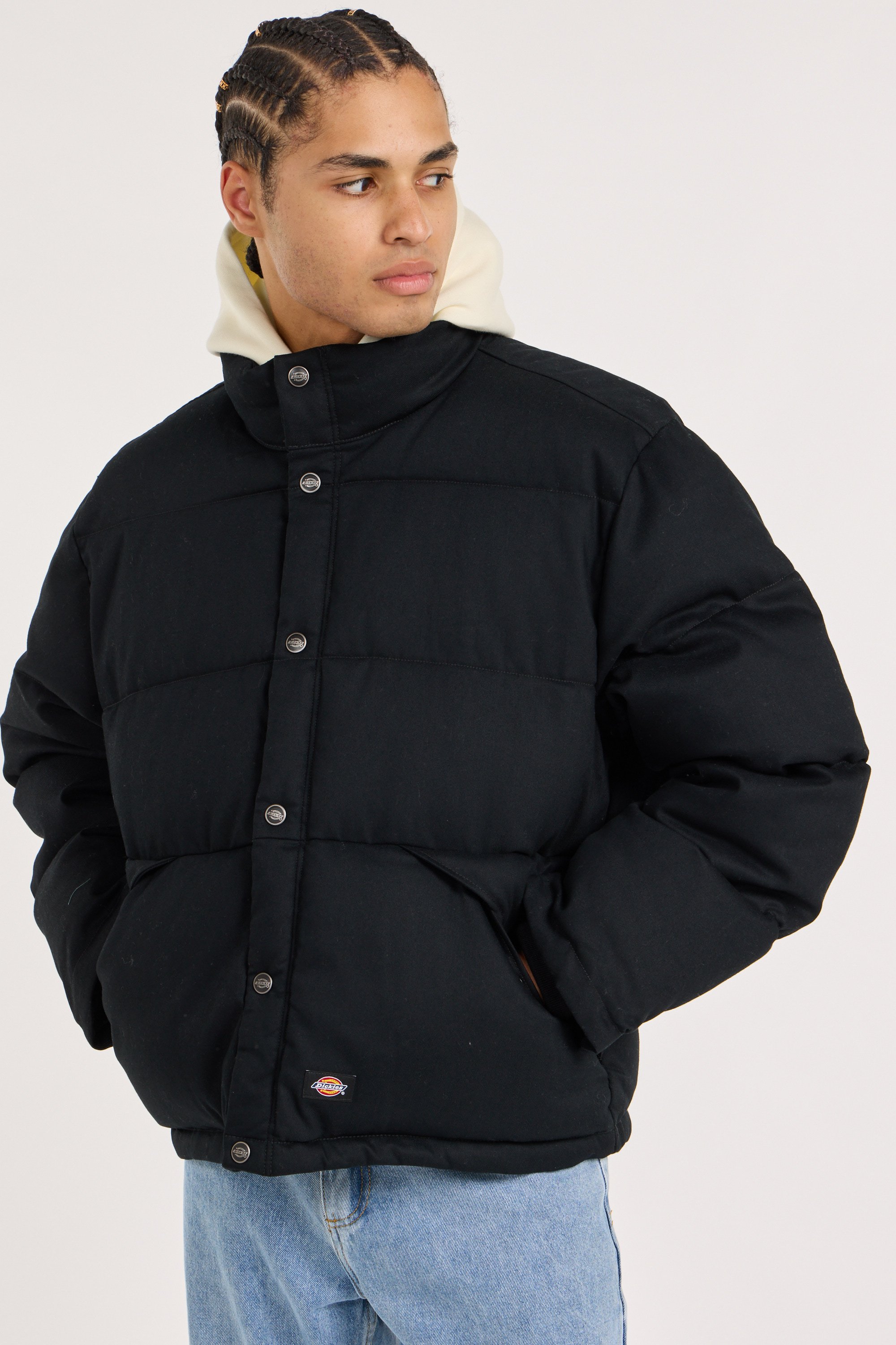 Zipped high-neck colorblock padded jacket with hood | Black DICKIES Men