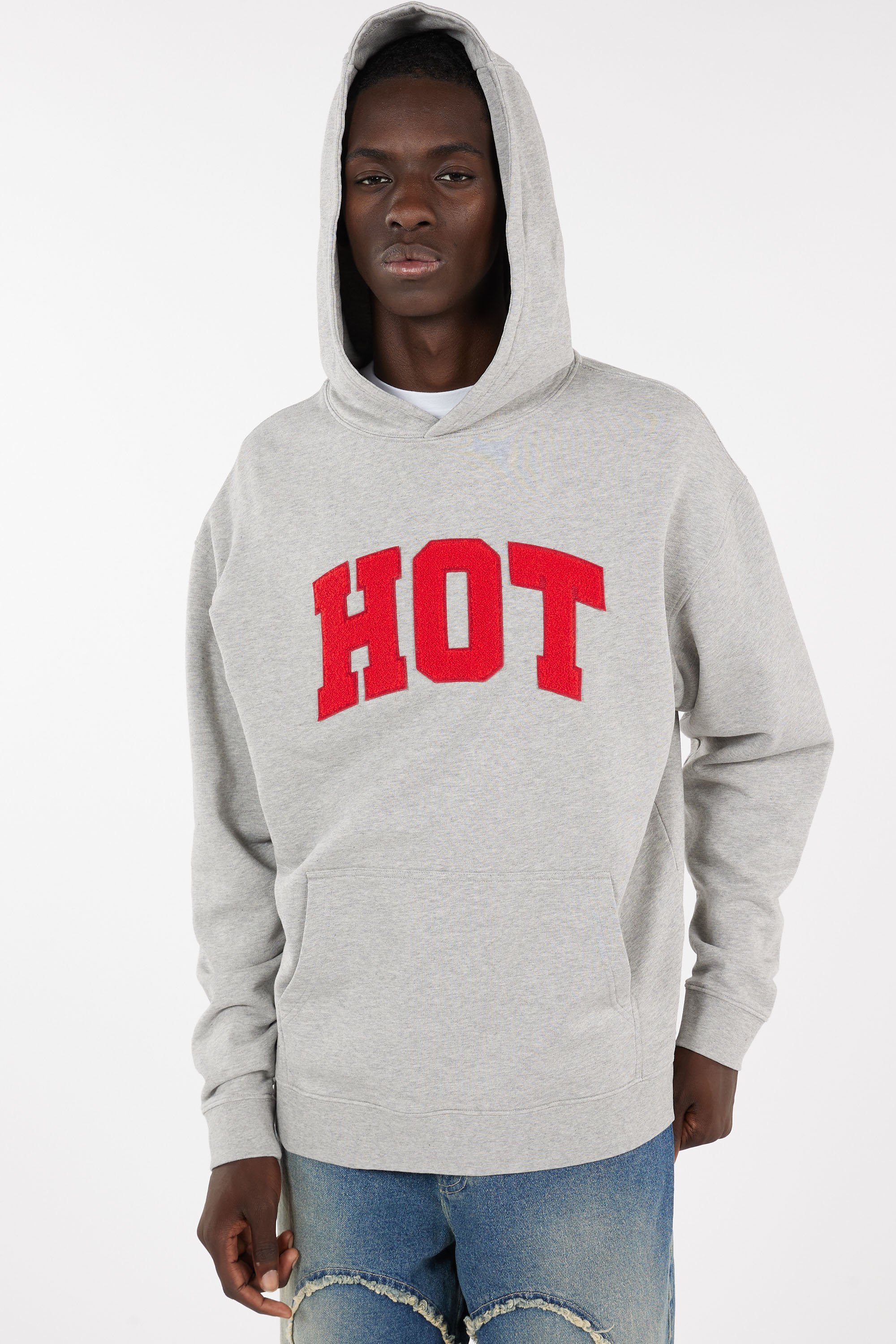 Hoodie Gris