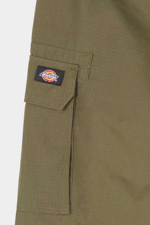 DICKIES Shorts Green