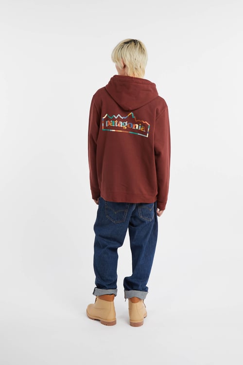 PATAGONIA Hoodie Marron