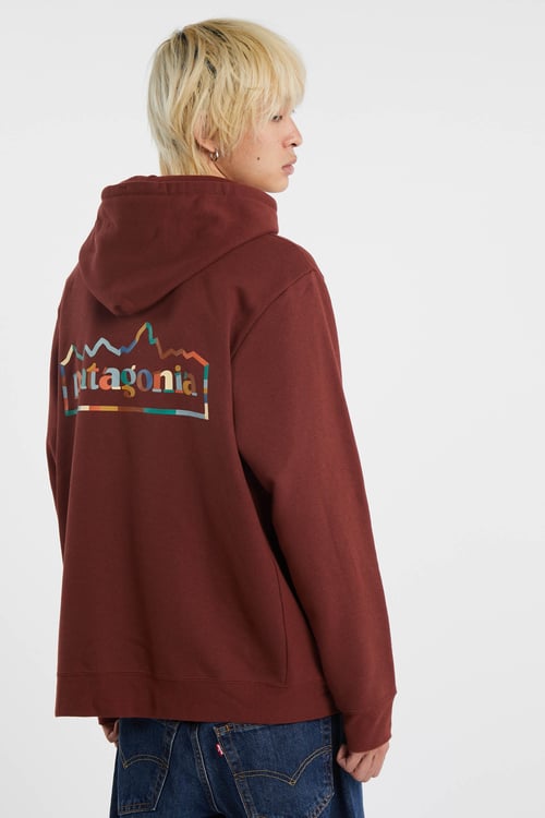 PATAGONIA Hoodie Marron