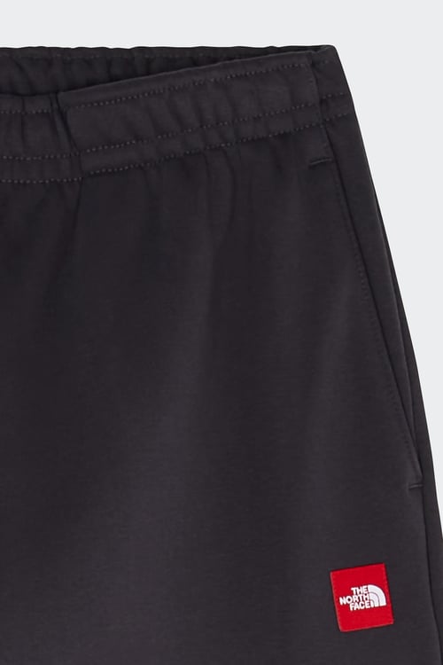 THE NORTH FACE Jogging Gris